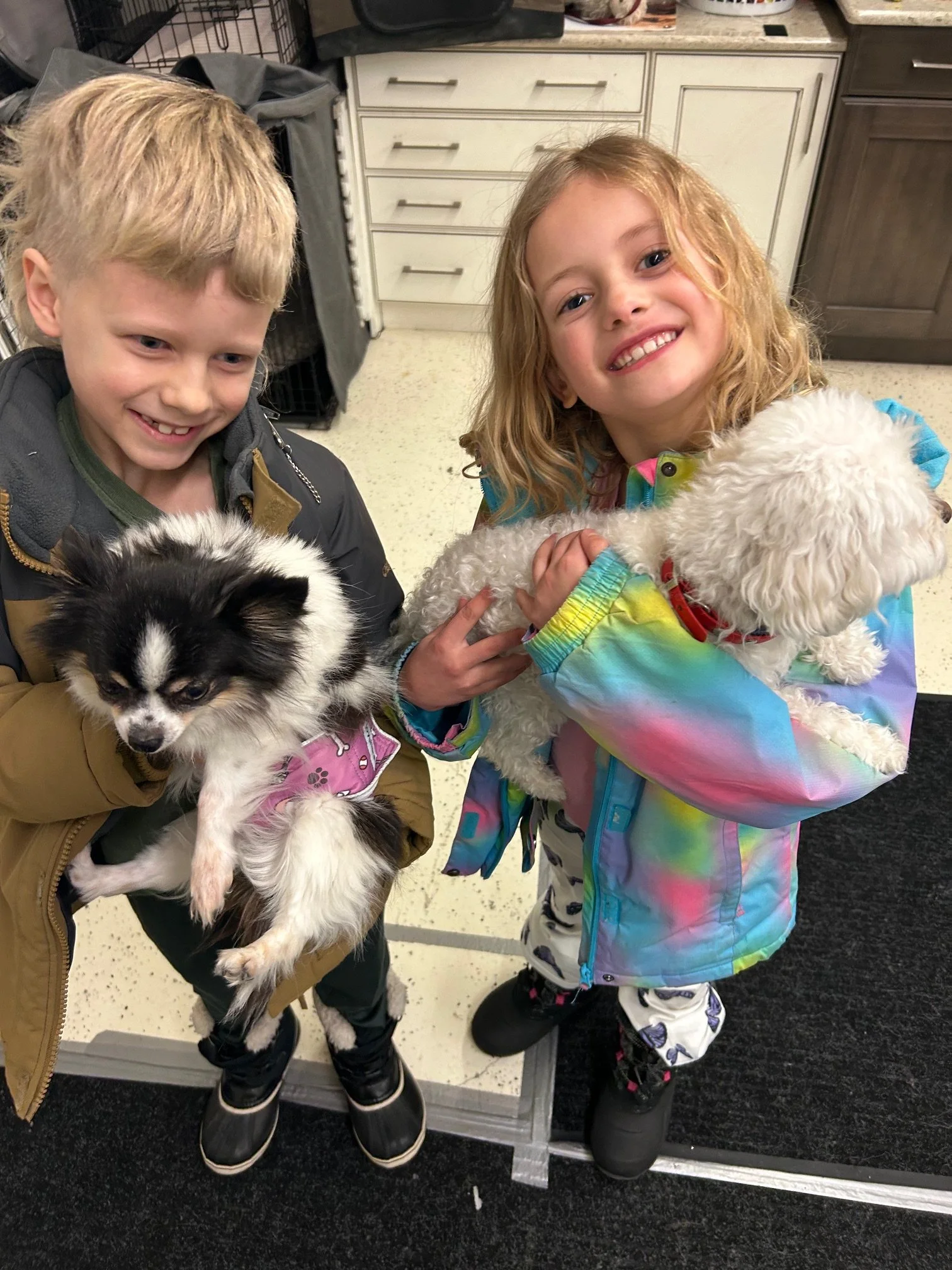 2 children smiling holding 2 puppies