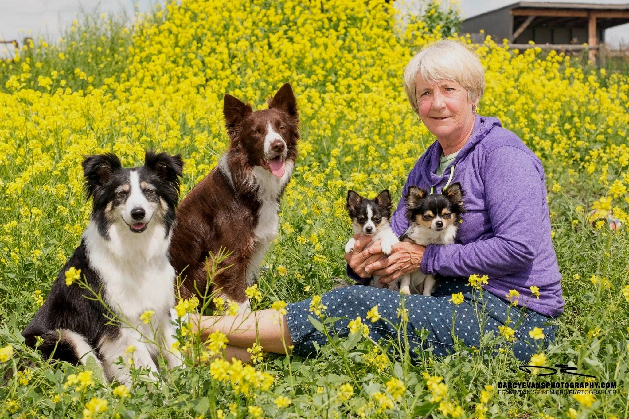 Warman Dog Training Owner Jen Saskatoon and Surrounding Area