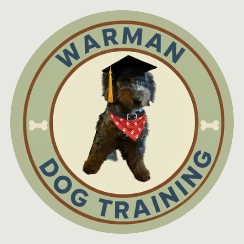 A dog wearing a birthday cap and red bandana, sitting inside a circle with the text 'Warman Dog Training'. Logo