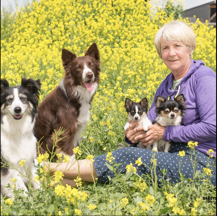 Jen from Warman Dog Training sitting in a field of yellow flowers holding two small dogs, surrounded by three larger dogs, with a background of yellow flowers and a partly cloudy sky.