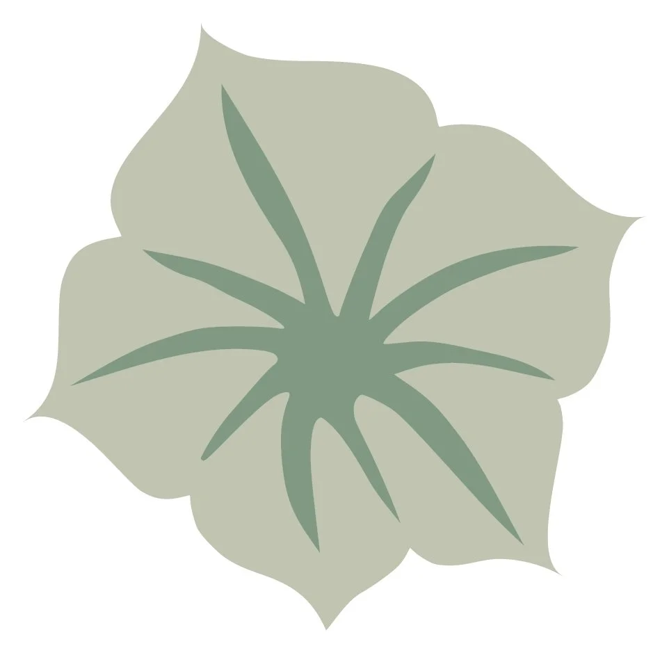 Illustration of a light green datura flower with dark green veins.