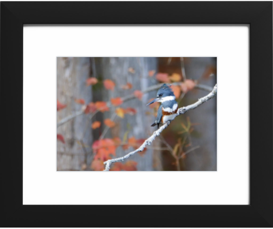 Screenshot 2025-10-10 at 2.40.29 PM.png