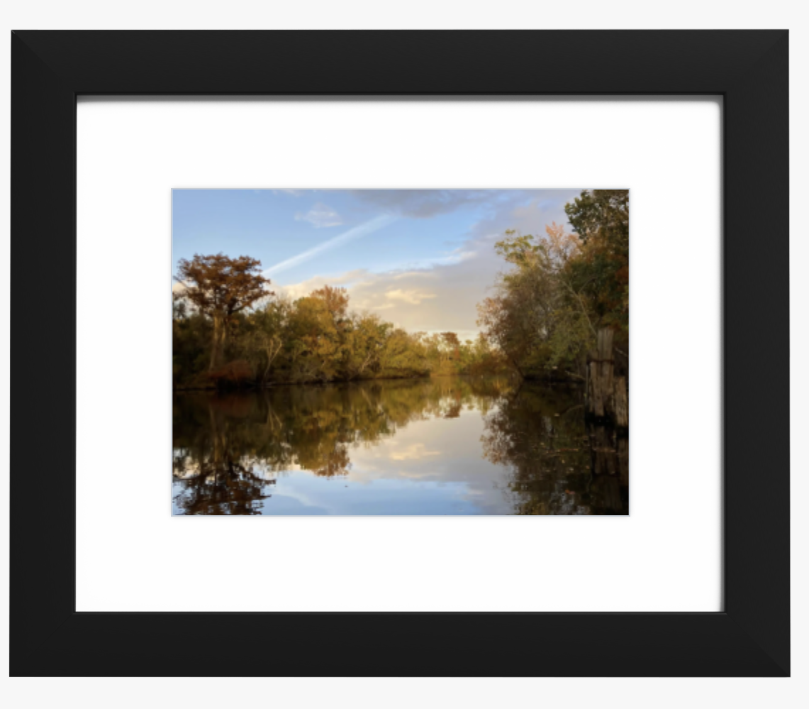 Pamlico-Tar River in Autumn 16x20 Framed Print