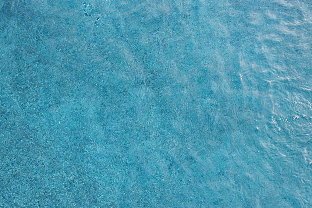 SeabreezeEdwards-9211.jpg