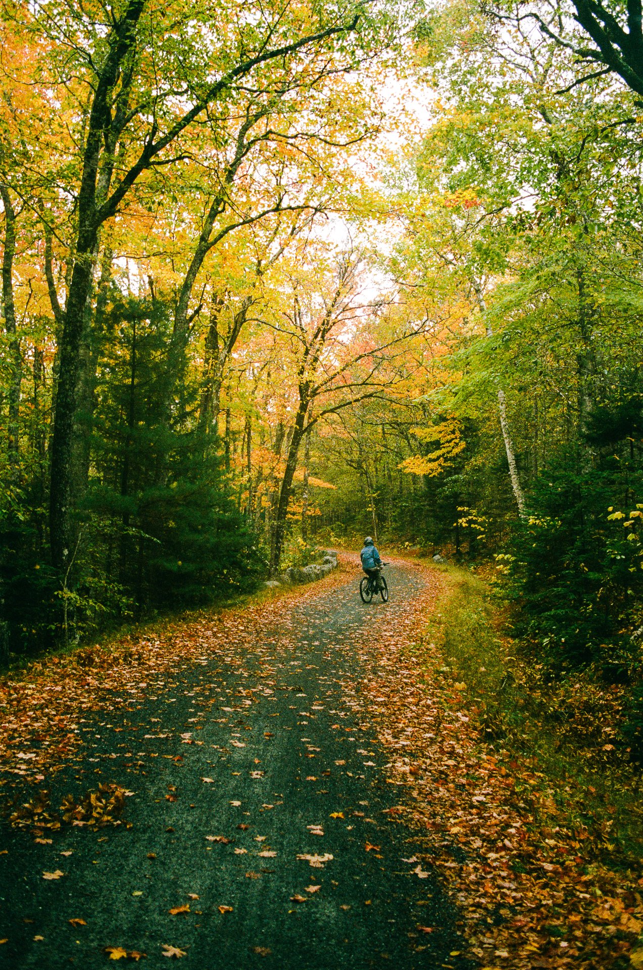 film, travel | Gravel Roads