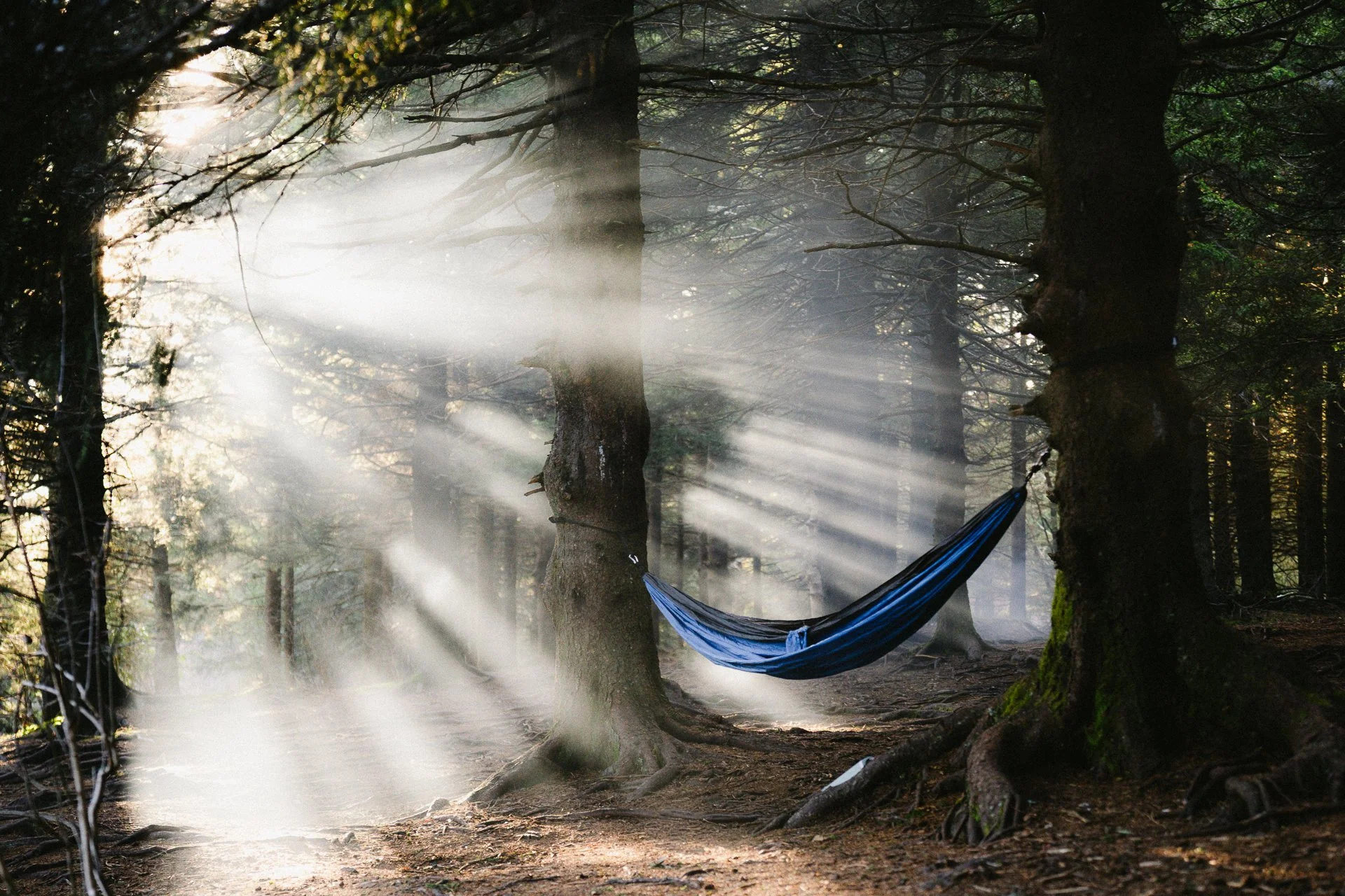 landscape | God Rays