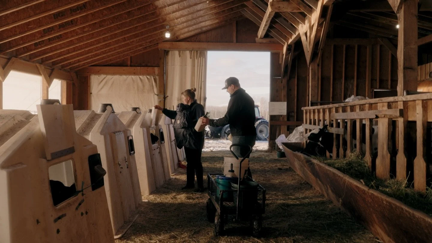 20 frames from four videos recently shot for @bcdairy 

Tried out the new @nisiopticsusa Black Magic diffusion filter on these shoots in conjunction with the Hazy plugin by @filmconvert