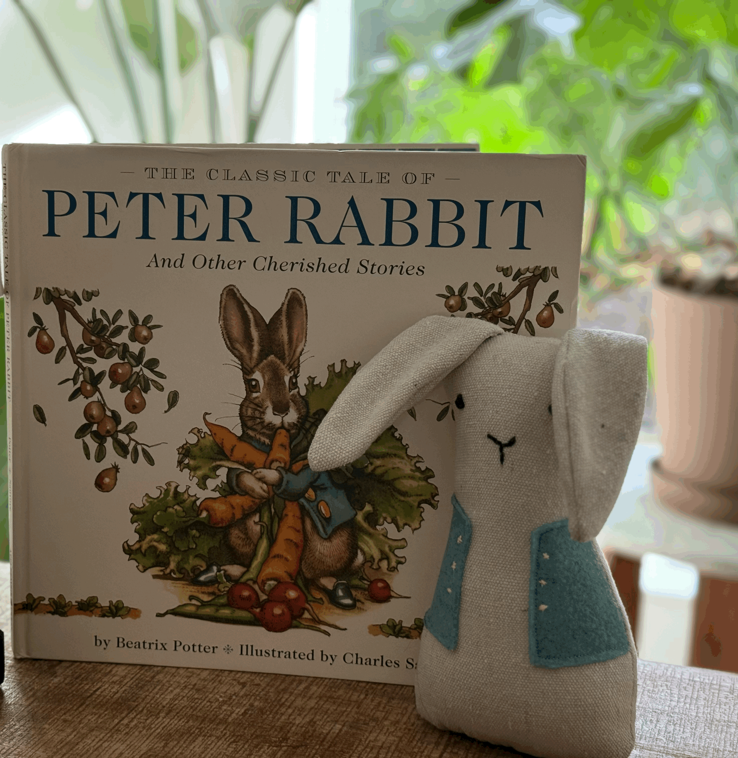 Peter Rabbit Set