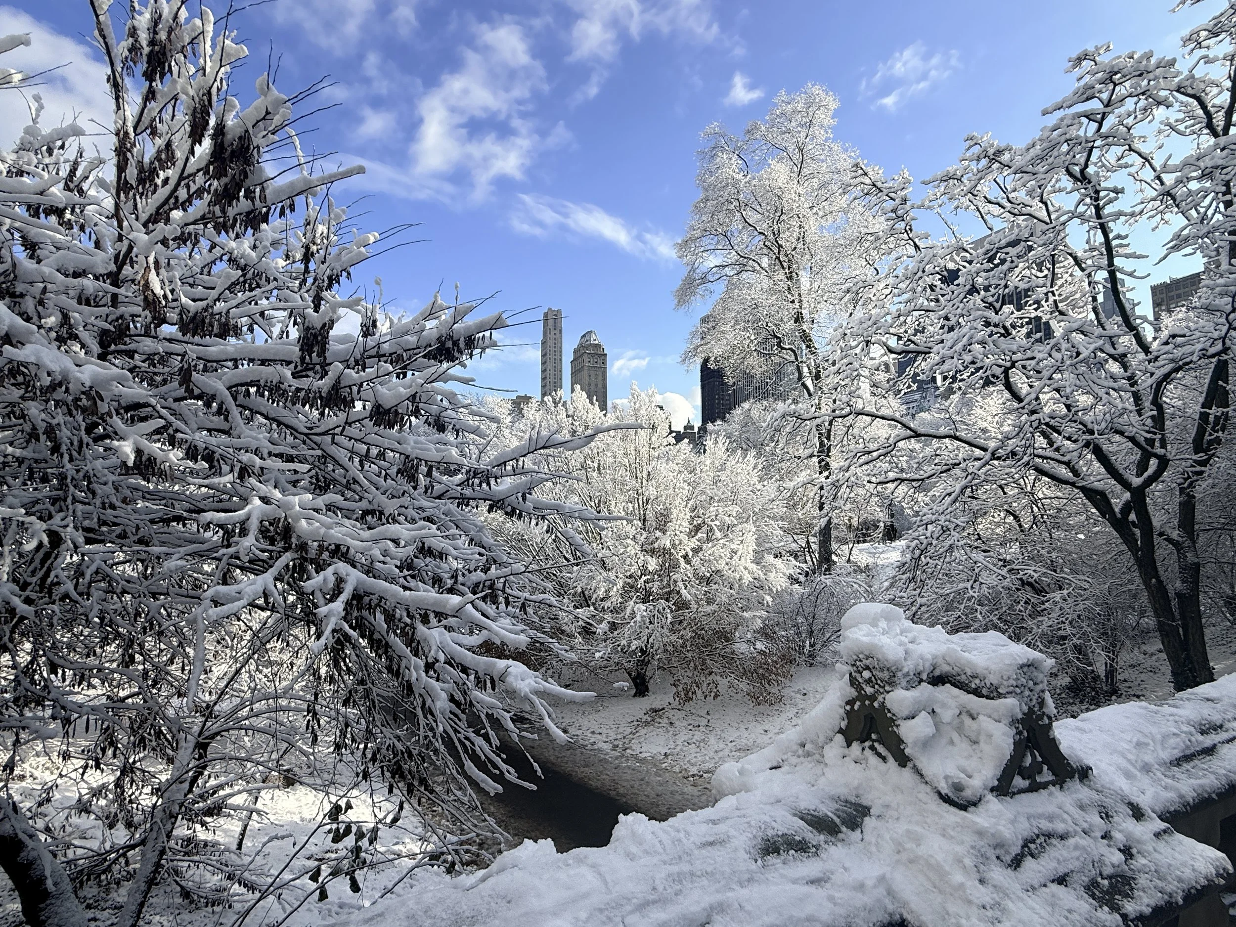 NYC at Christmas: Experiencing the City During the Holidays