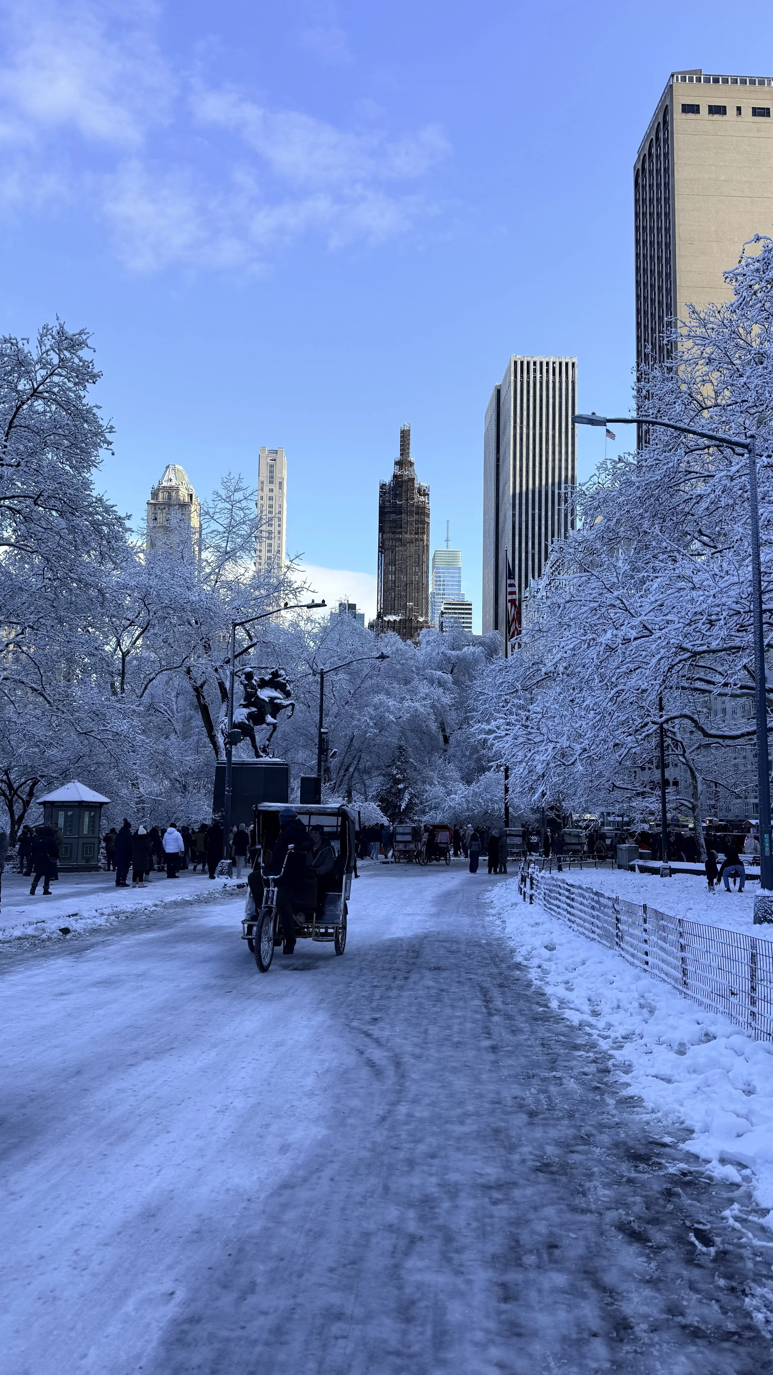 Walking through Central Park in winter during a New York City trip
