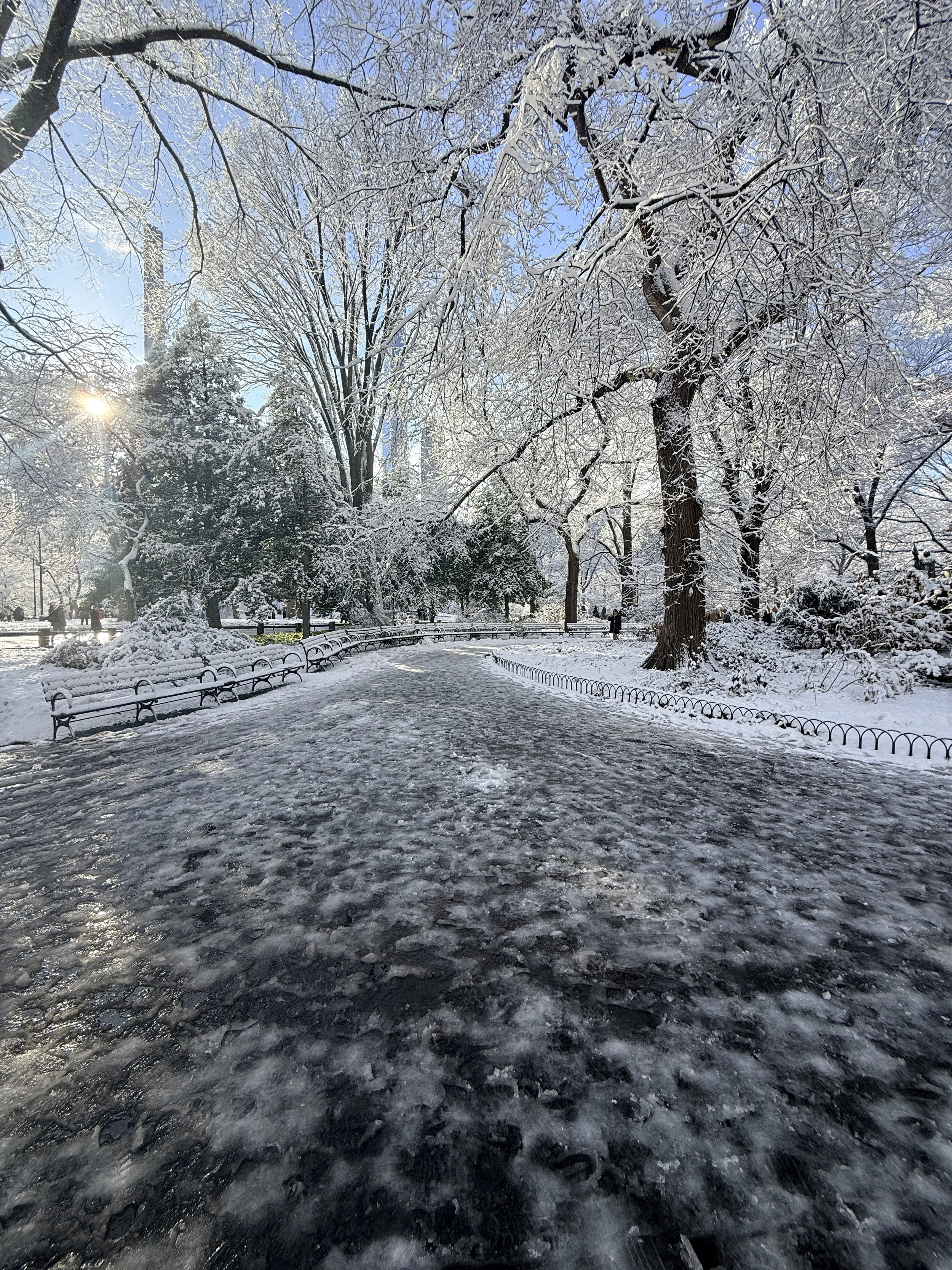 Snow covered path in Central Park
