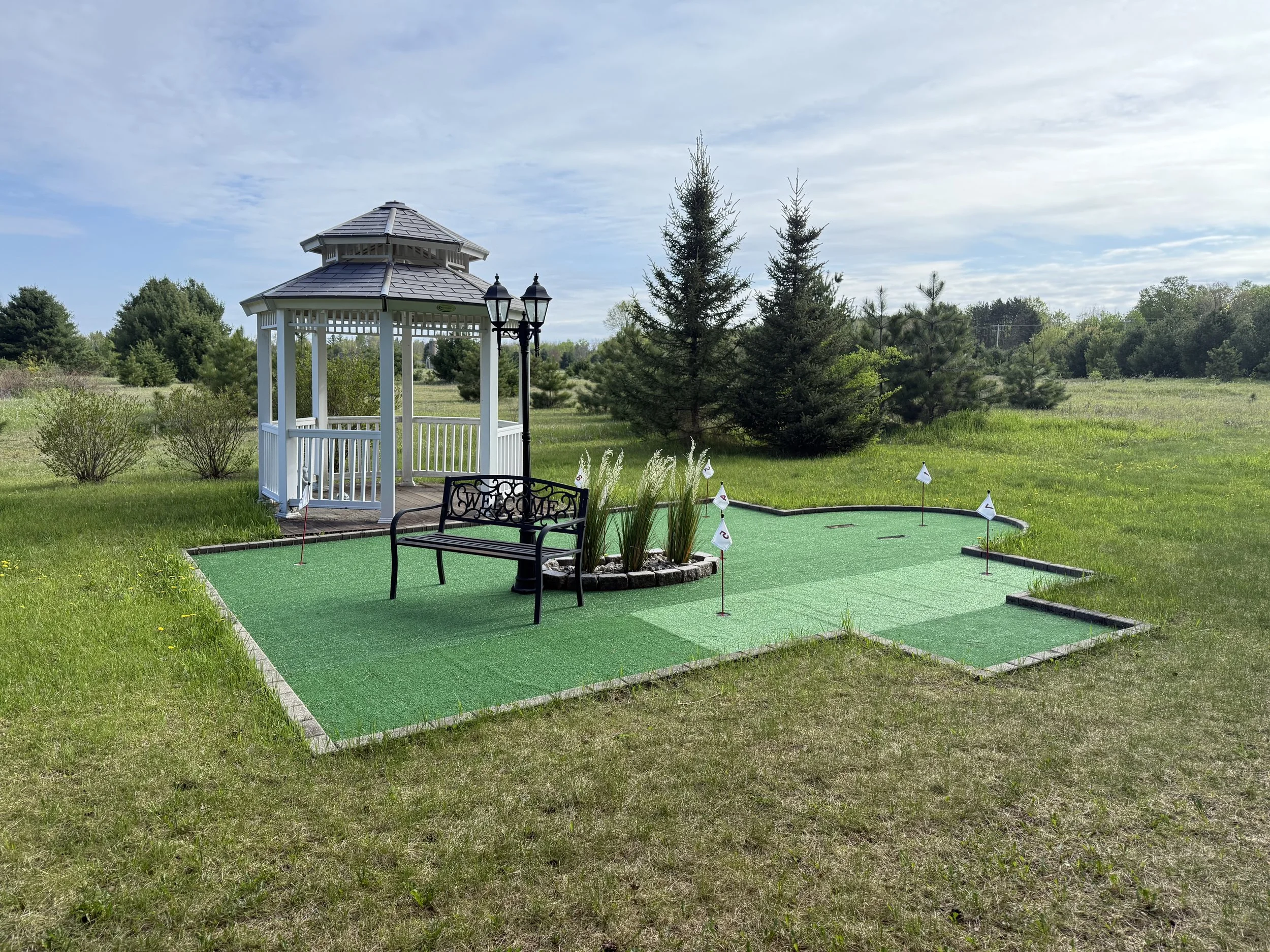 Mini Golf Putting Green