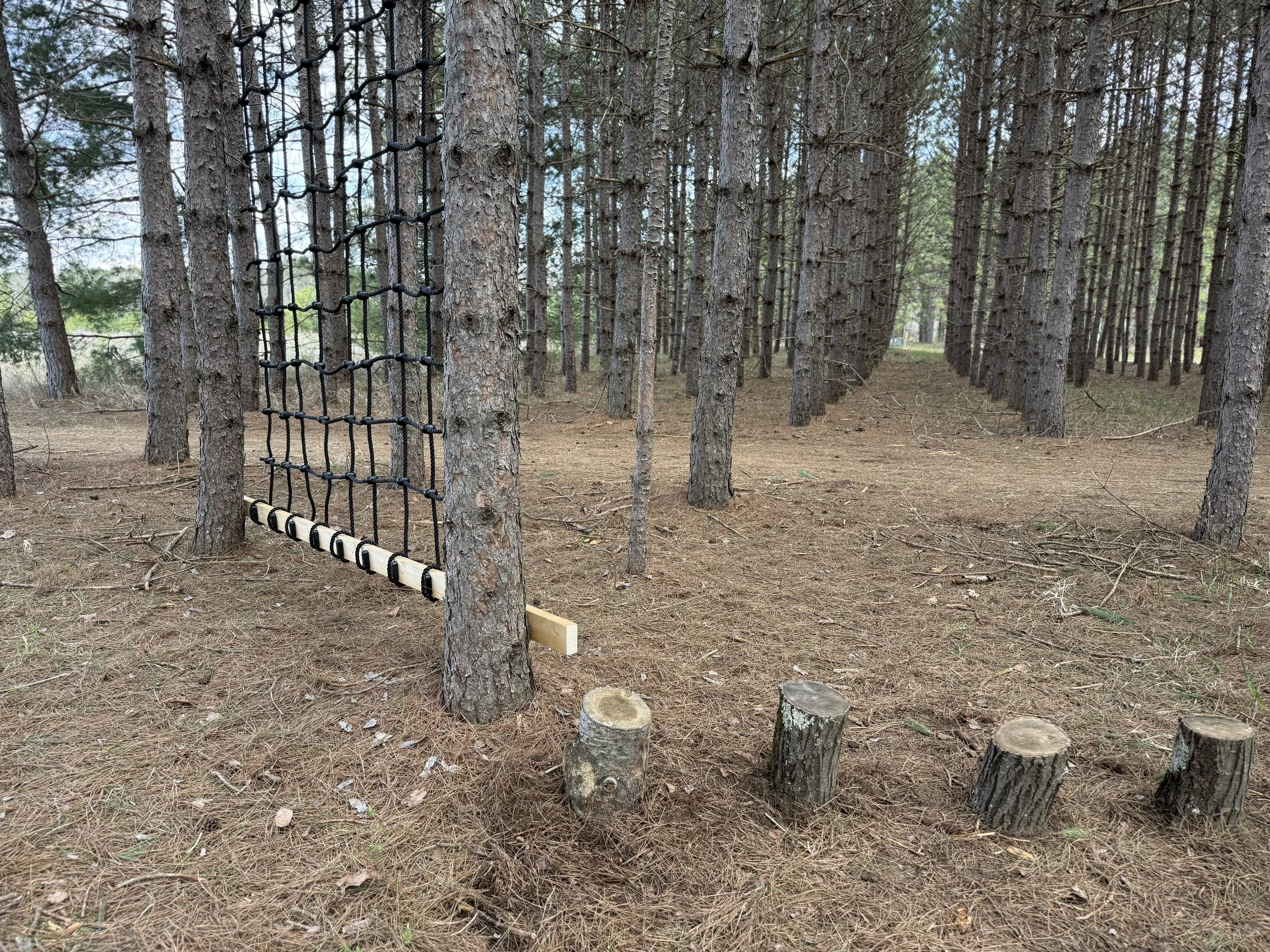 Natural Playground For Kids