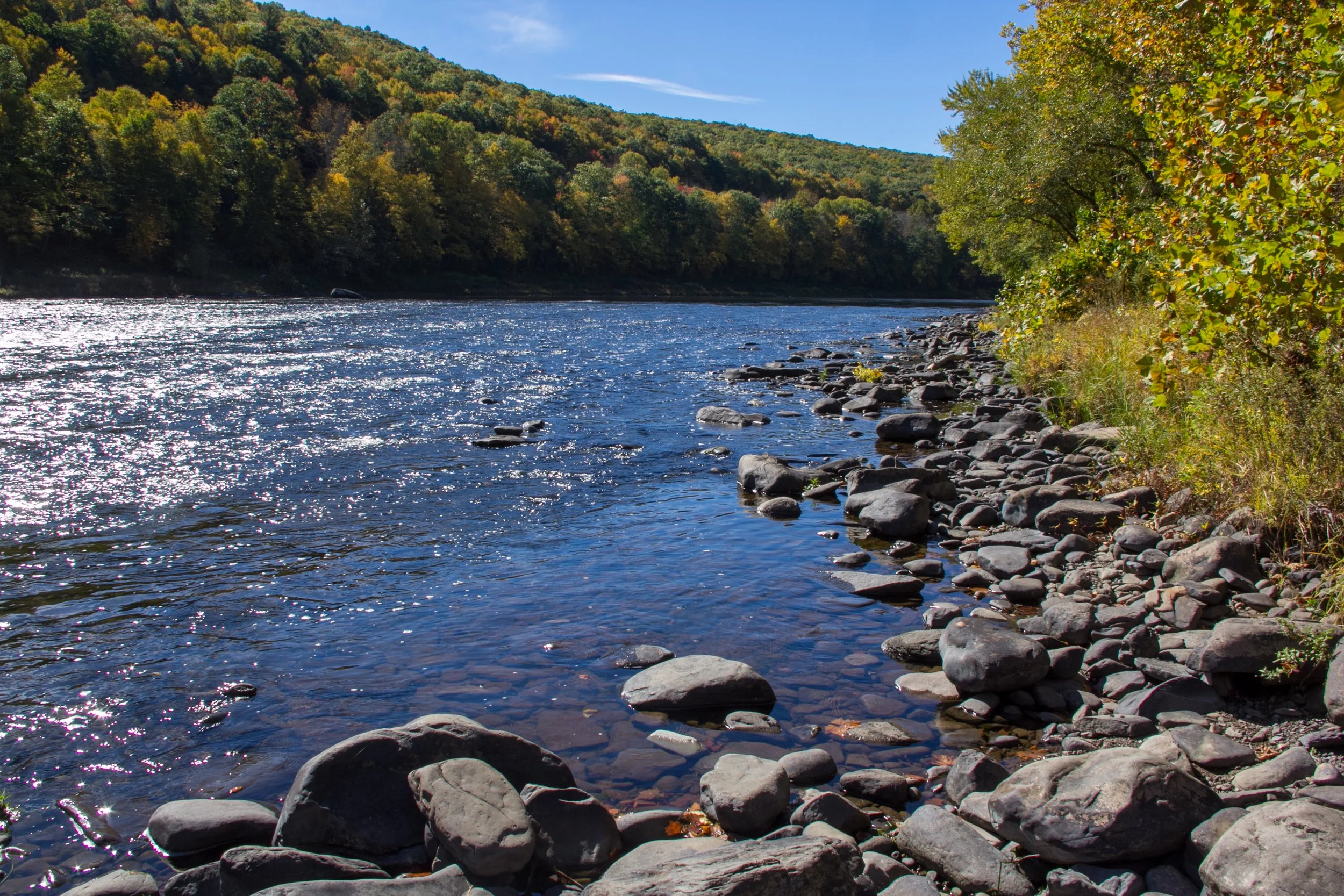 Briskly running creek in the Catskill Mountains