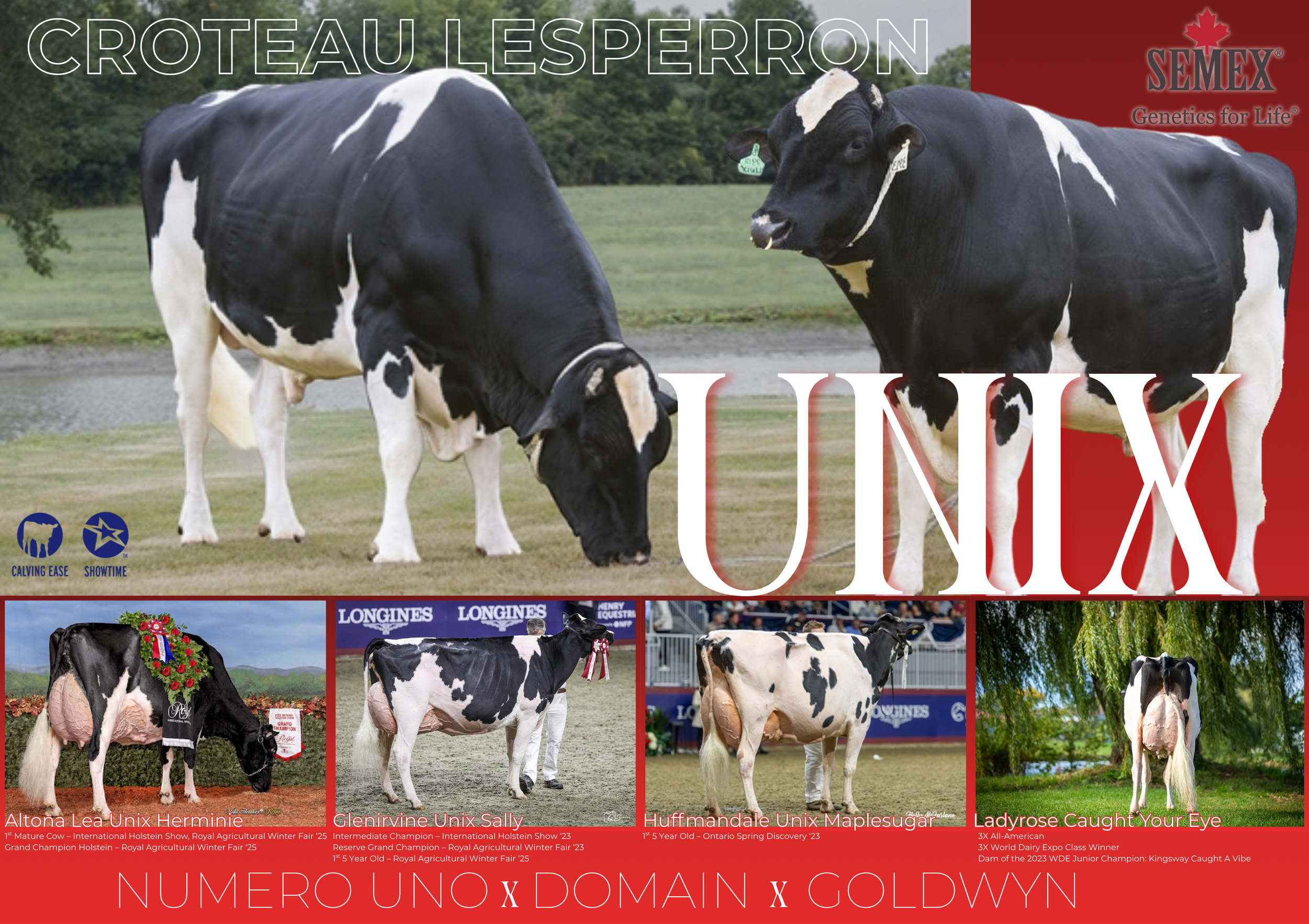 SEMEX SAMPLE.png