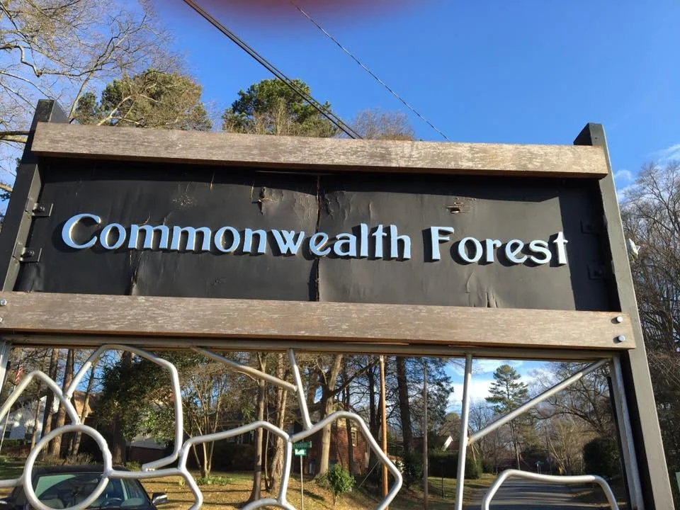 Reimagining Commonwealth Forest: Past, Present, and What Comes Next