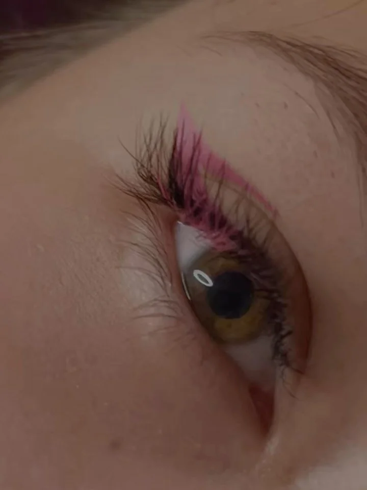 DIPLOMADO en Master en extensiones de pesta&ntilde;as y cejas 4K con fines de certificaci&oacute;n SEP - Red CONOCER. Diplomado Presencial en Extensiones de Pesta&ntilde;as y Cejas 

Este diplomado es uno de los m&aacute;s completos del mercado, dise