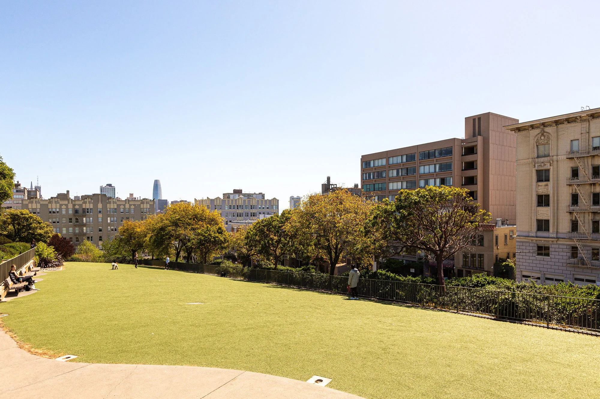 A city park with a grassy area, trees, and benches, surrounded by tall buildings under a clear blue sky.