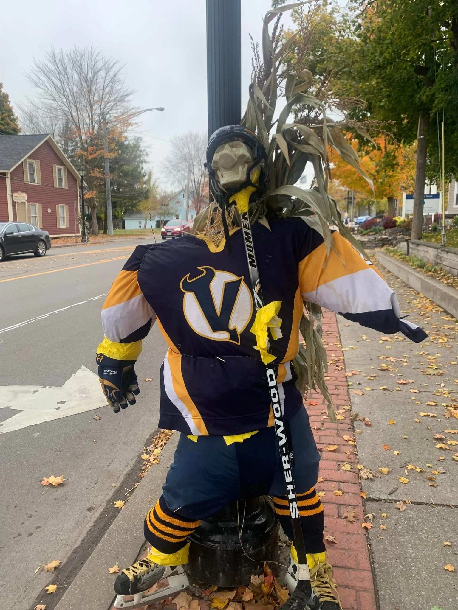 VCS Hockey.jpg