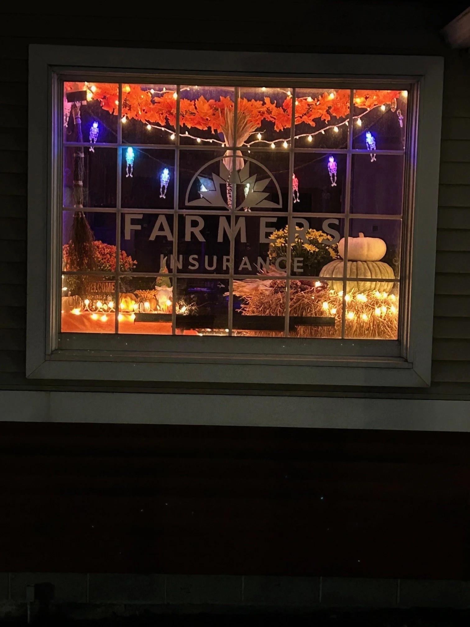 DHW window display.jpg
