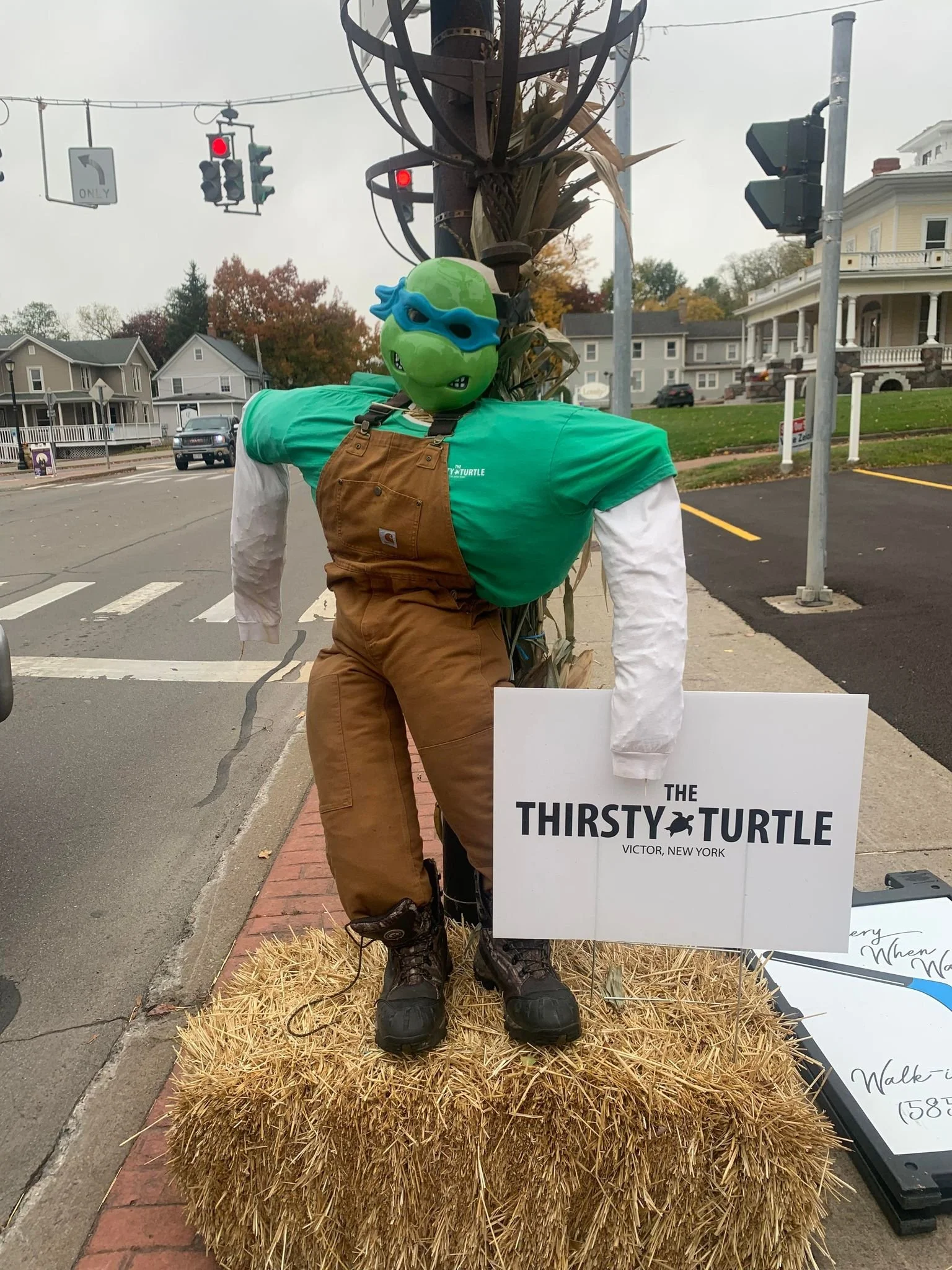 Thirsty Turtle.jpg