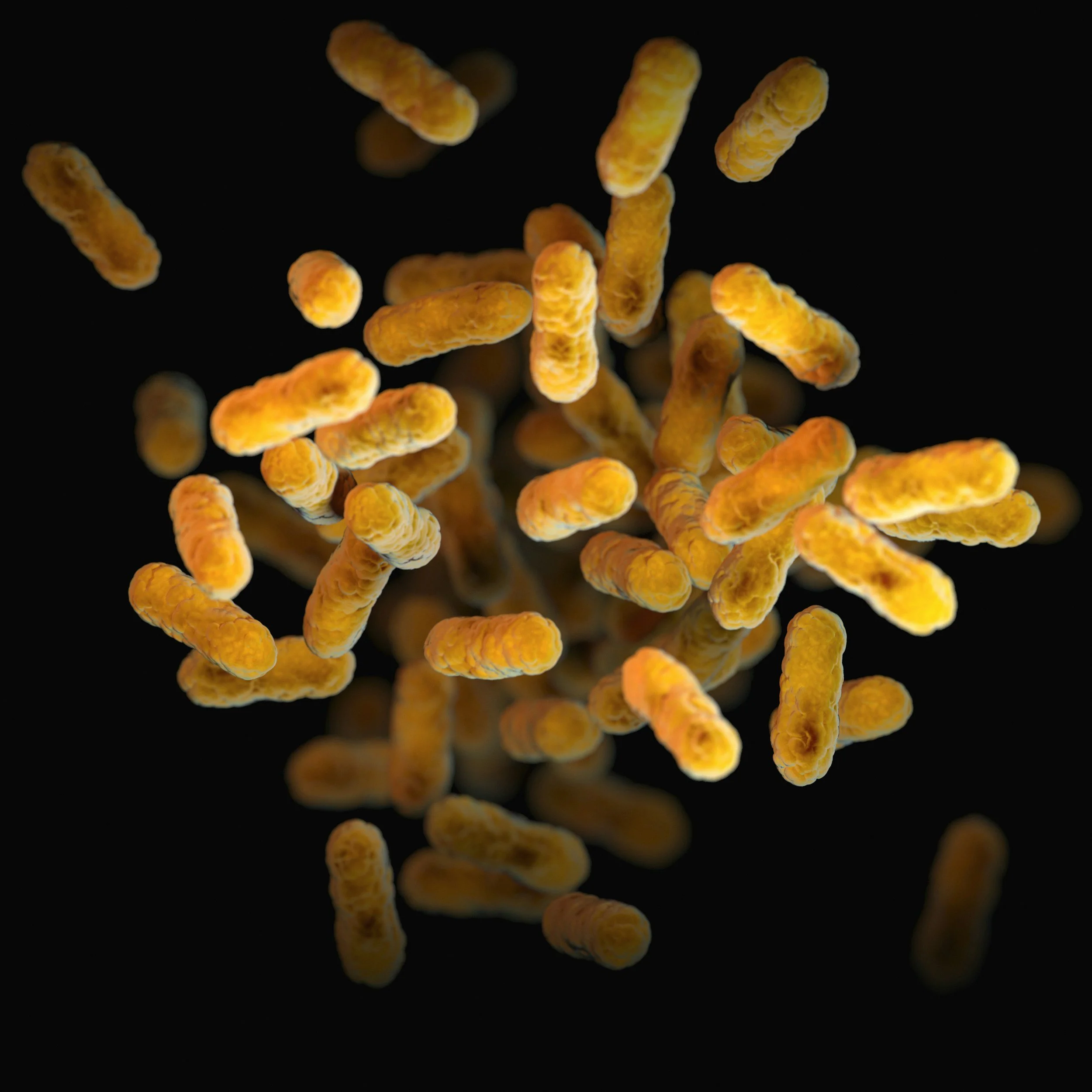 Yellow bacteria or spores floating against a black background.