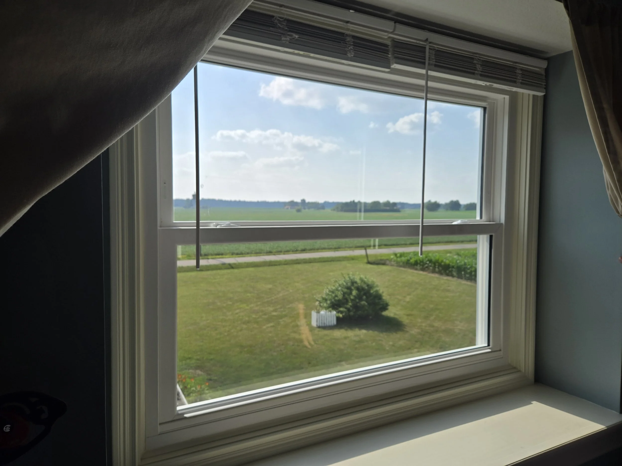 View through a window showing green grass, a shrub, and distant fields under a partly cloudy sky.