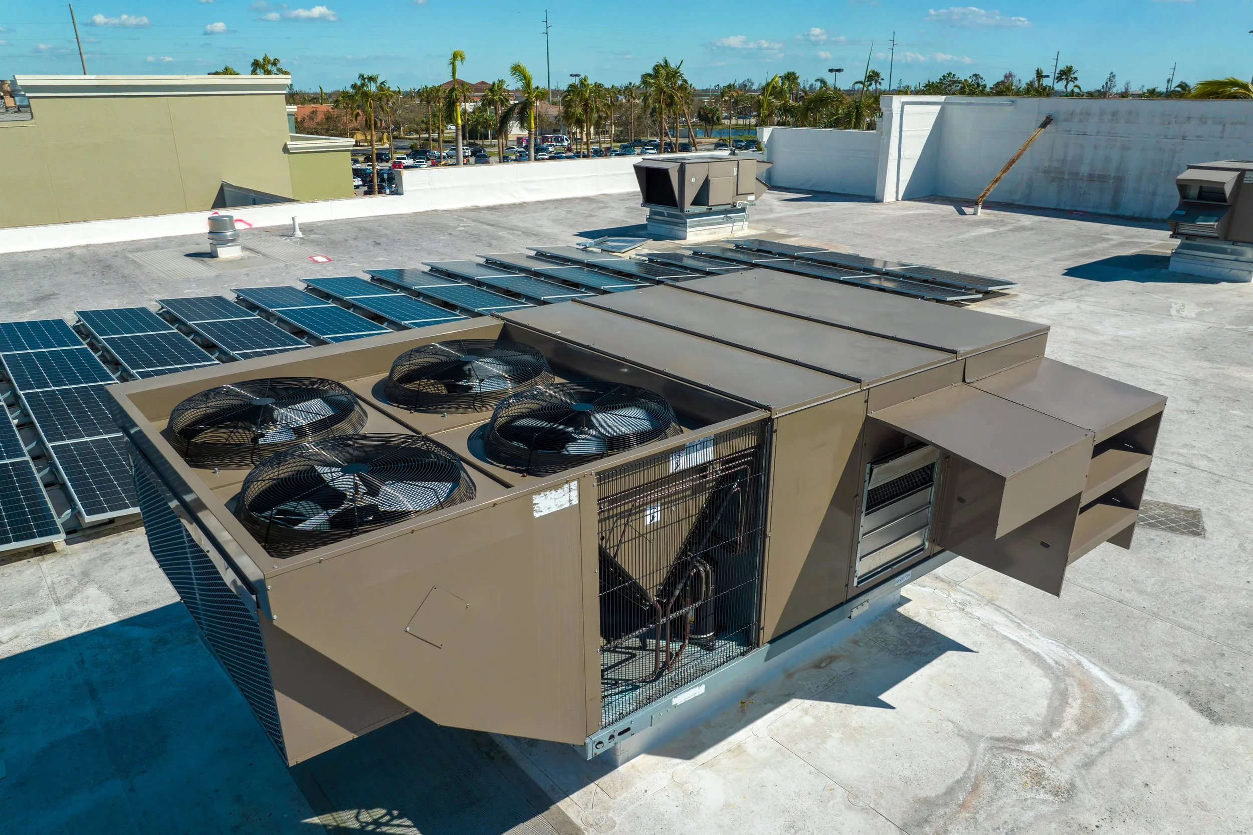 Rooftop with solar panels, HVAC units, and a white parapet wall, overlooking a parking lot with palm trees and a blue sky.