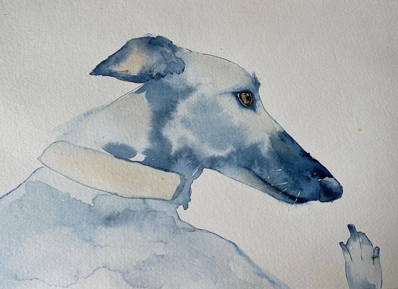 Greyhound watercolour