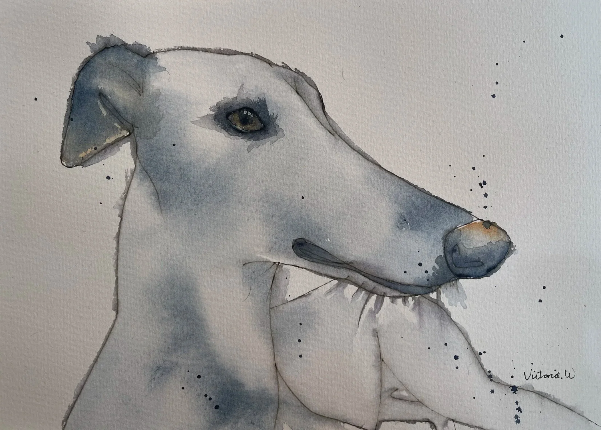 Ribble the greyhound pet portrait