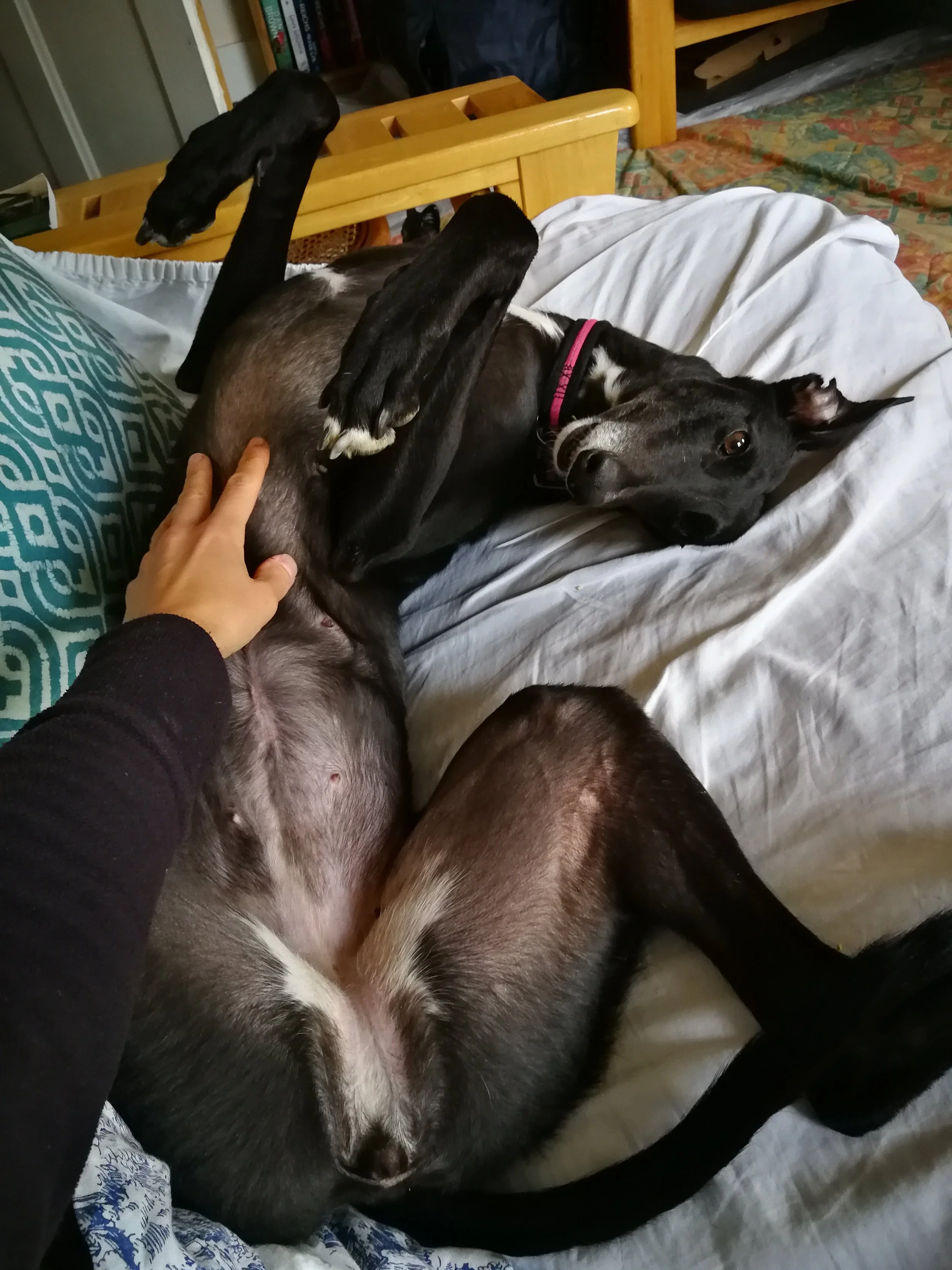 The most precious thing I’ve ever seen.