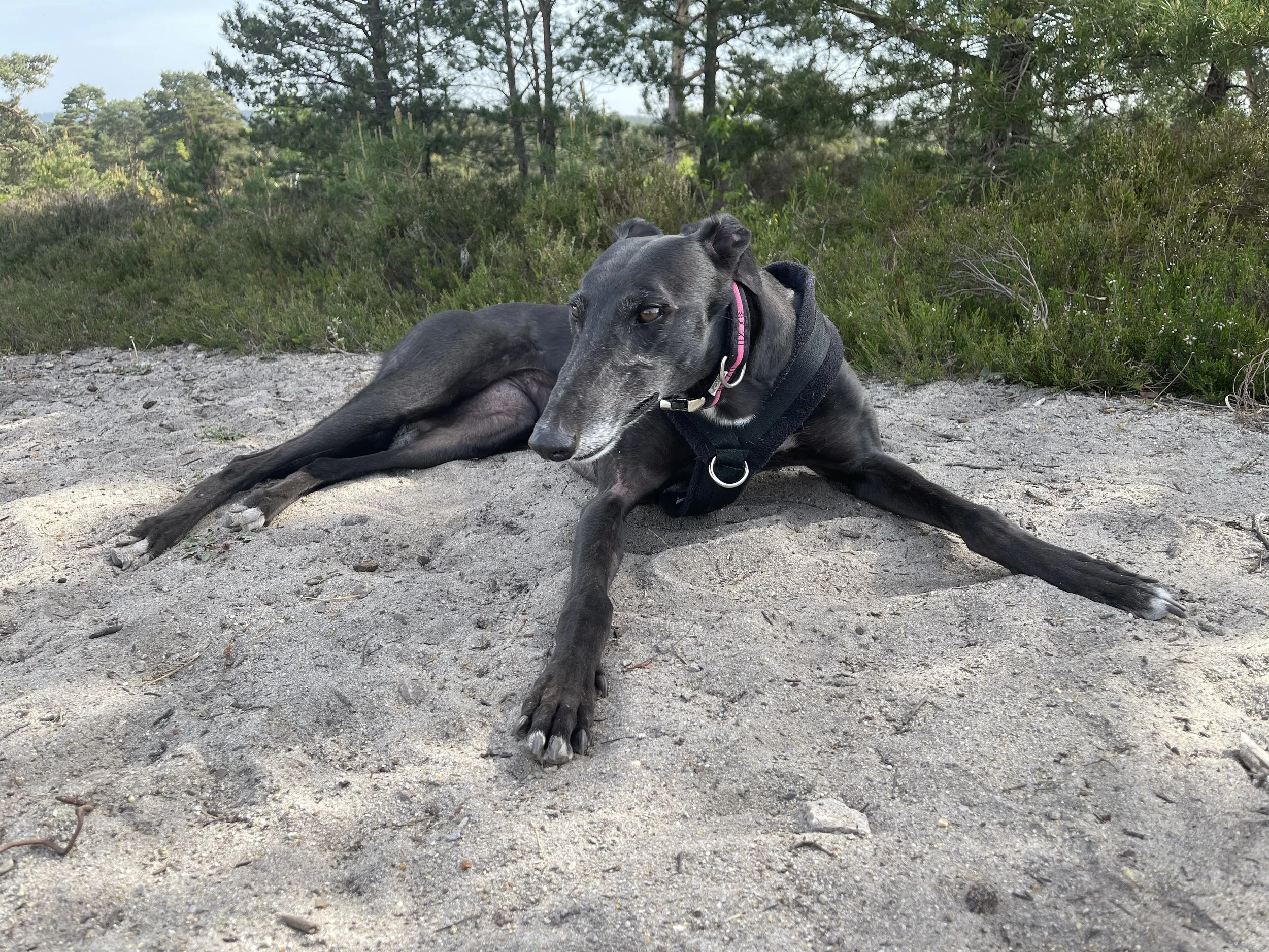 Always time for a rest.