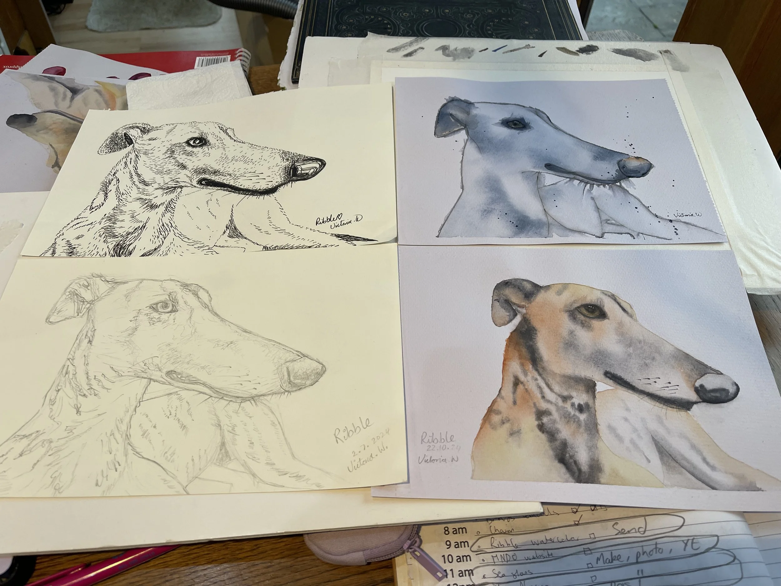 Ribble the Greyhound four ways