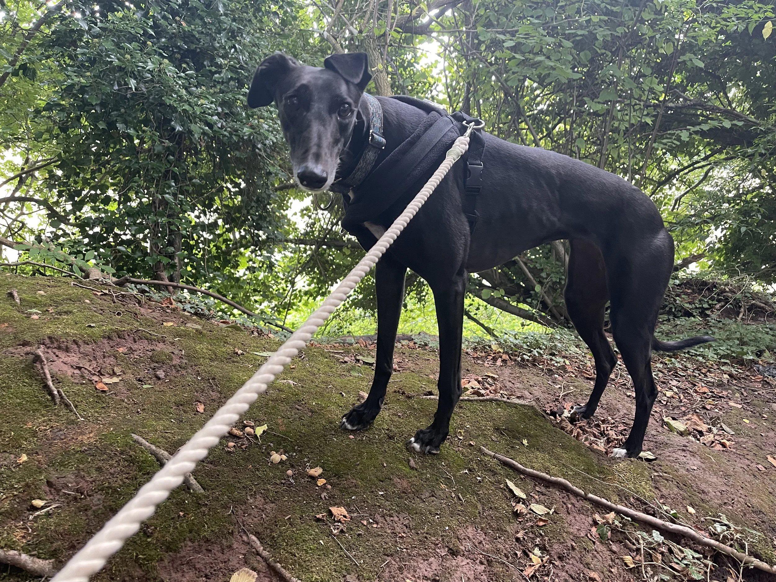 Learning to adventure.