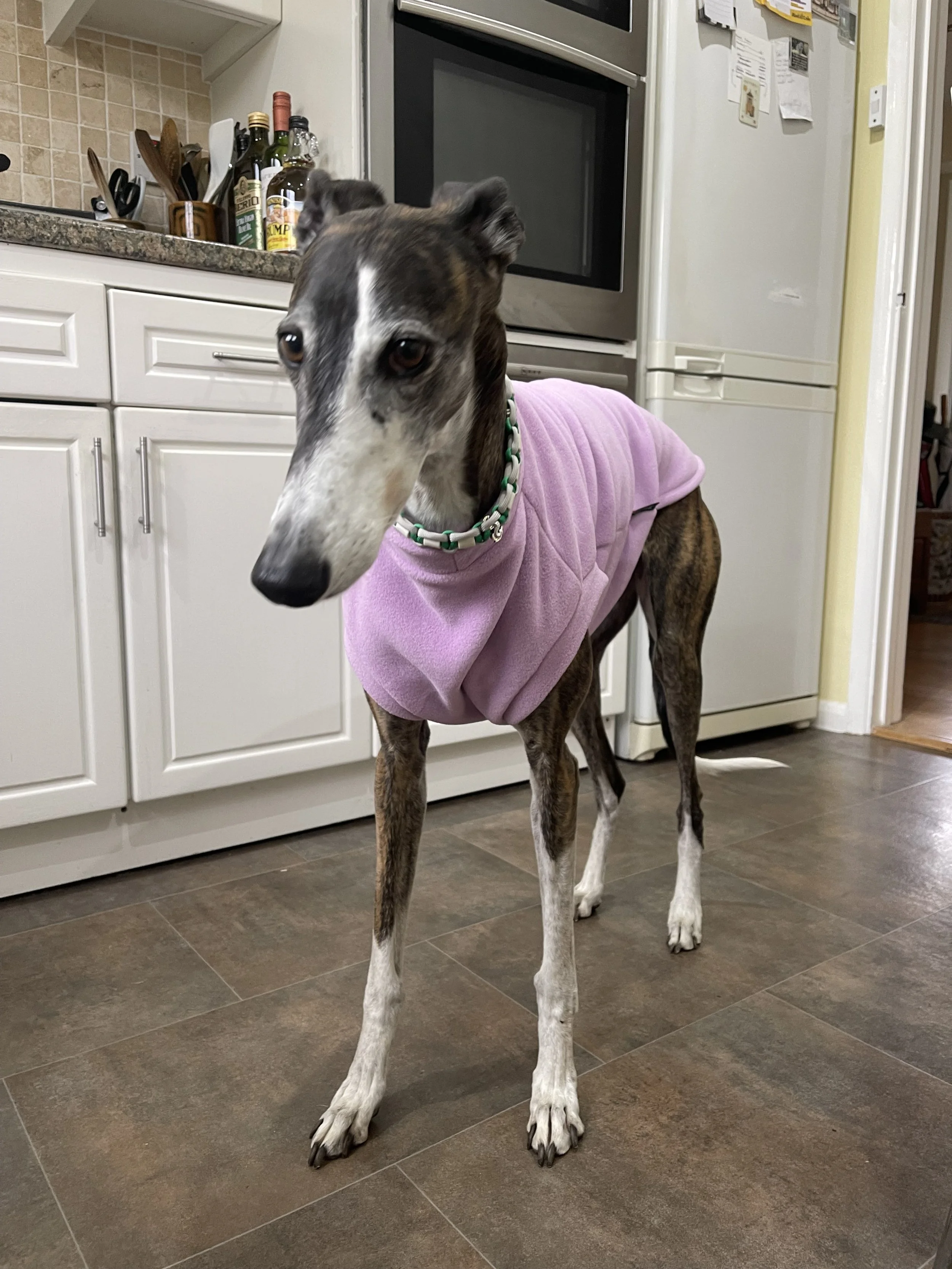 Equafleece sleeveless dog jumper