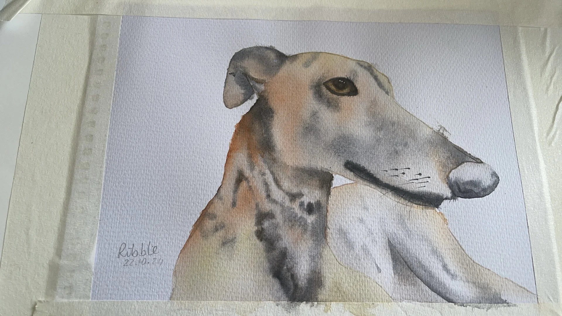 Ribble watercolour portrait