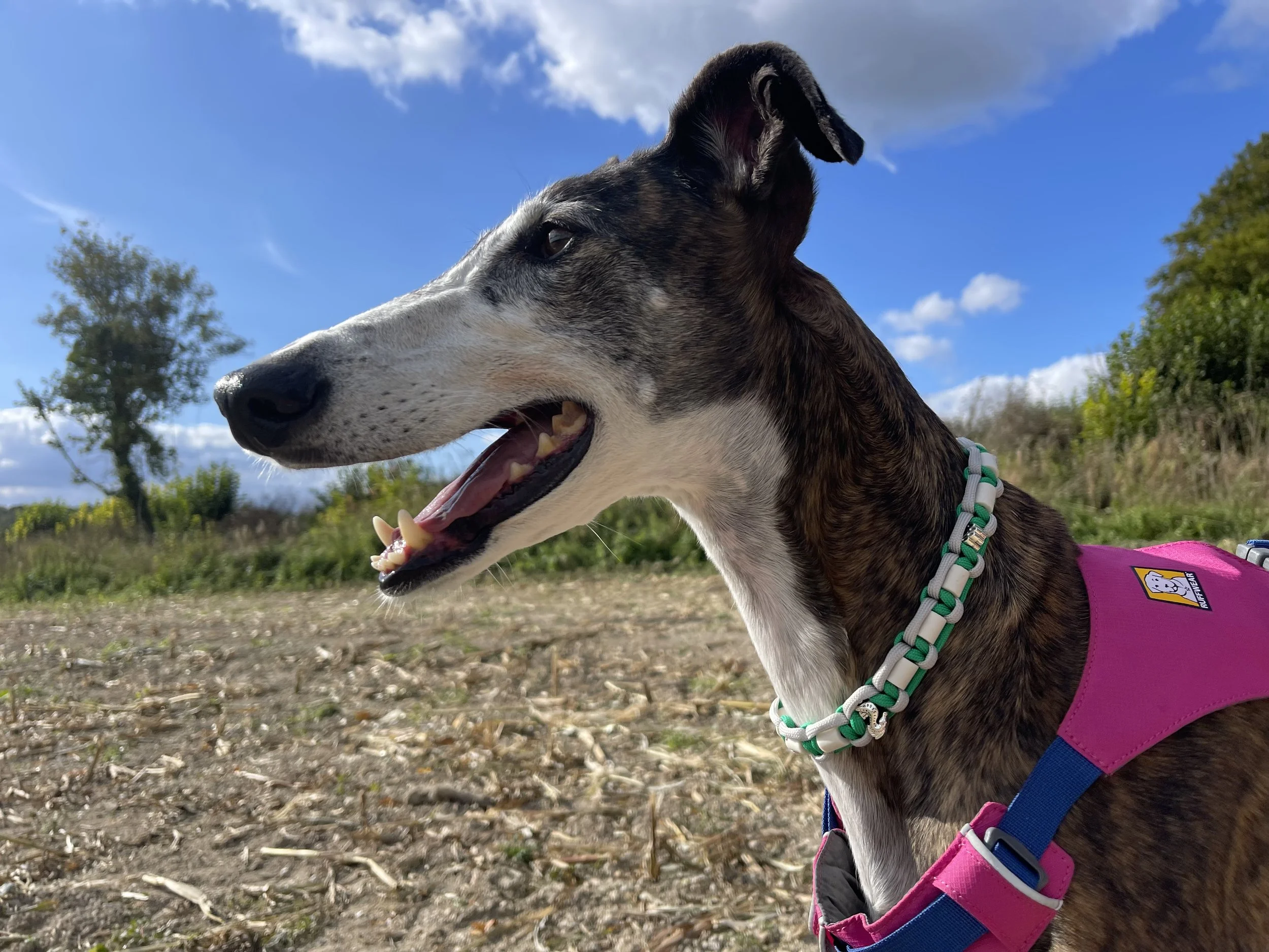 EM tick off necklace