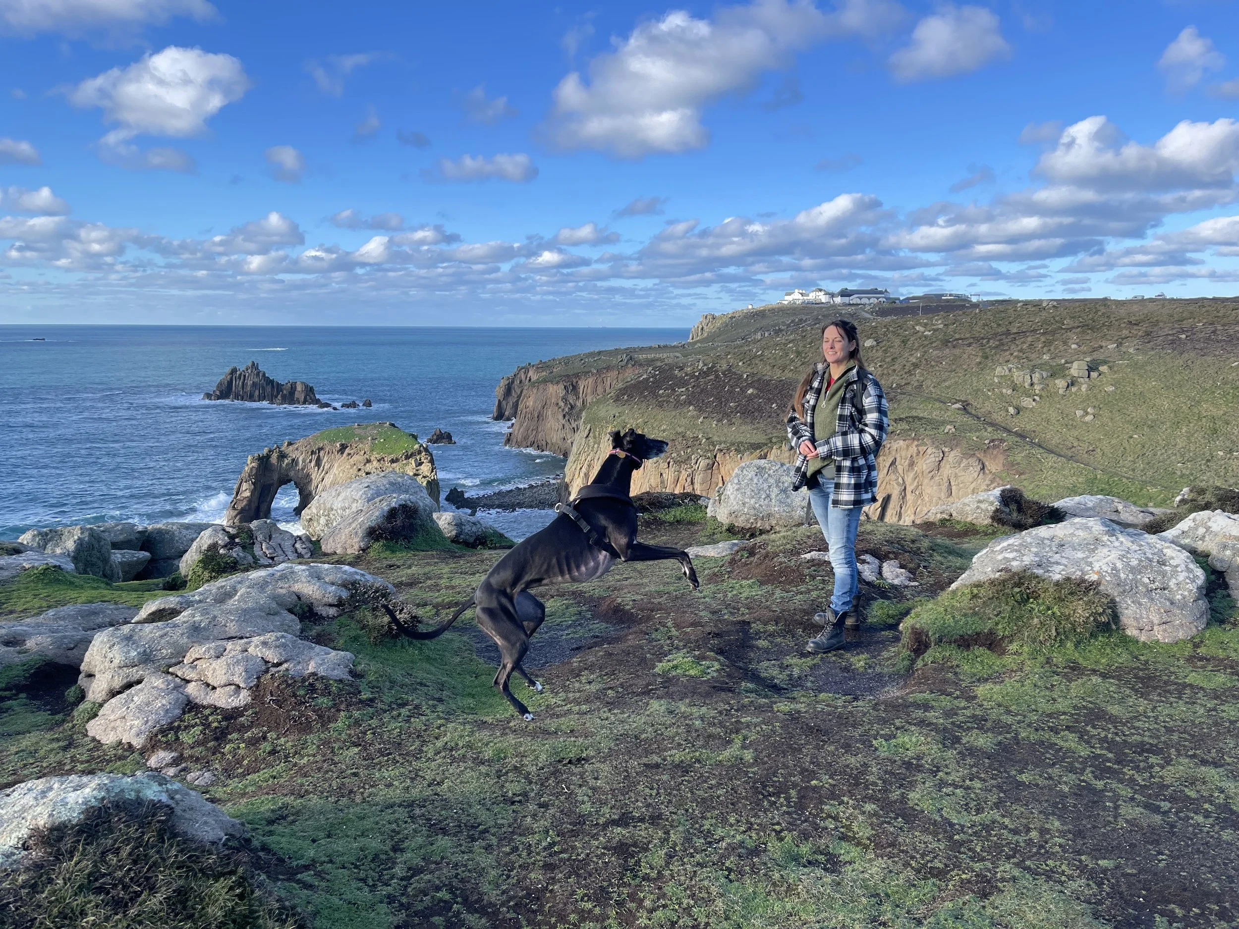 Jumping for cookies - our favourite game.