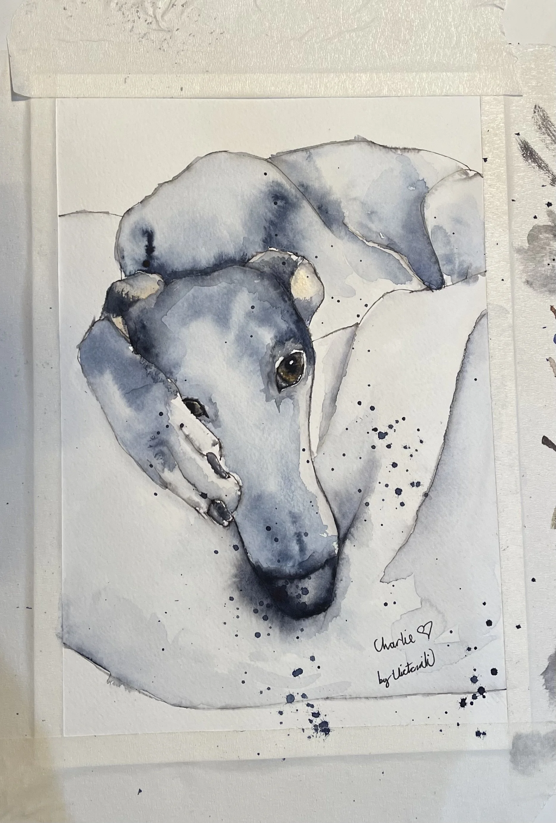 Charlie the Greyhound watercolour pet portrait