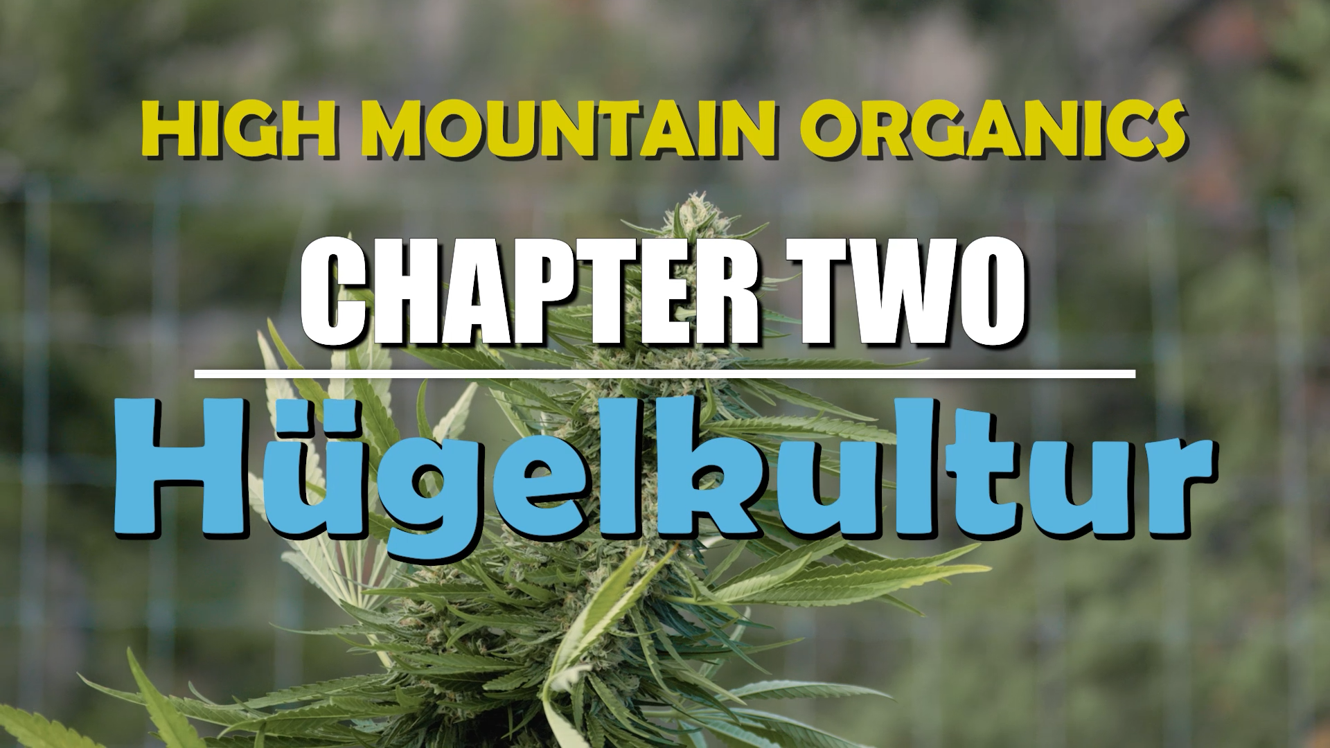 High Mountain Organics - Chapter 2