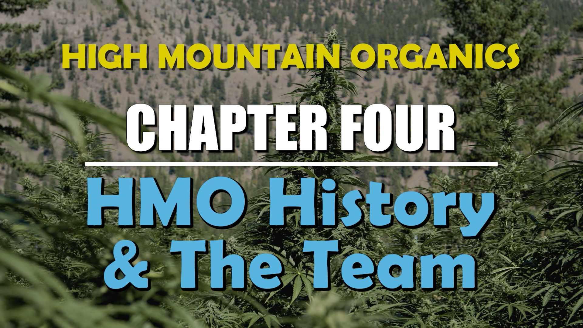 High Mountain Organics - Chapter 4