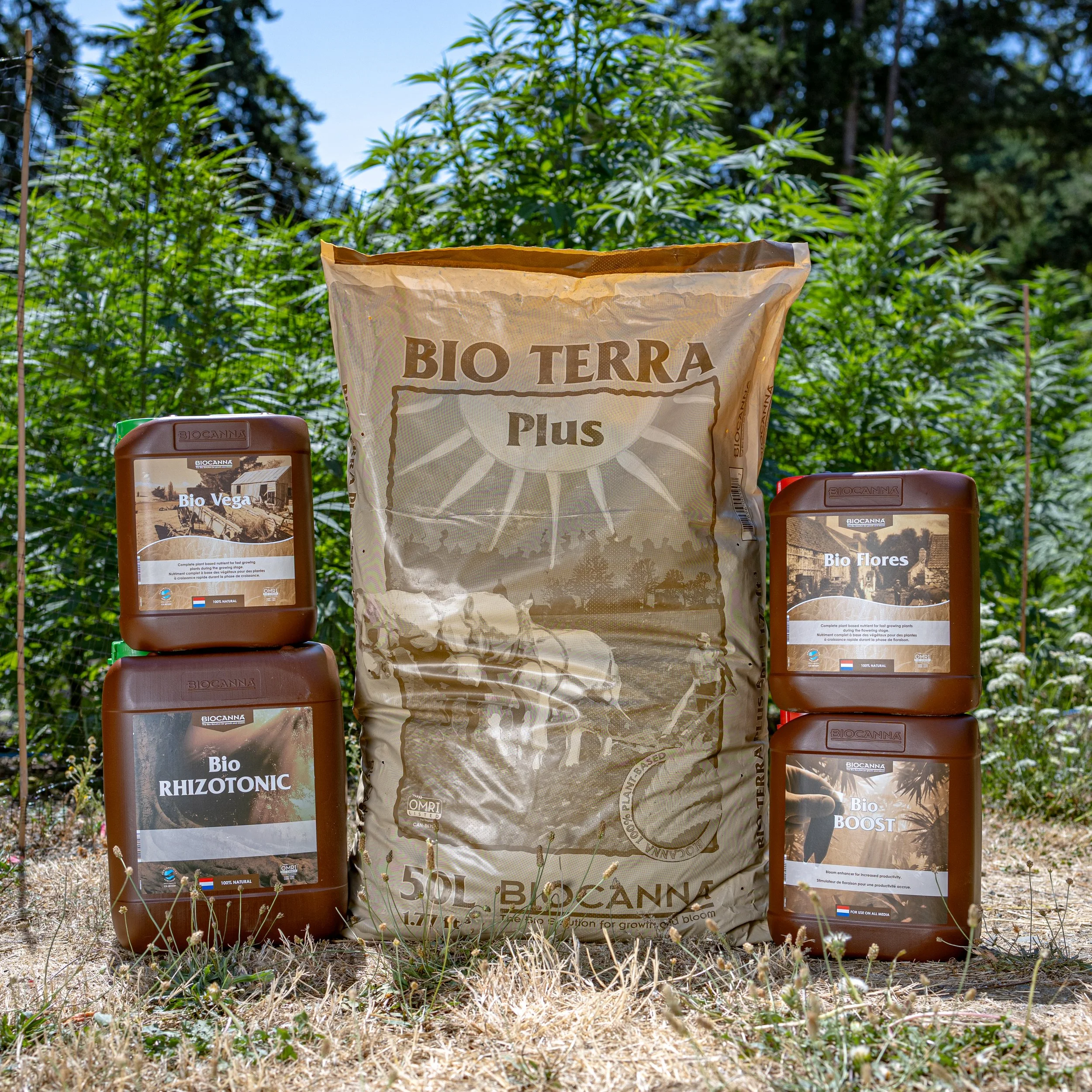Capturing the Power of Organics: Boro and Beyond Media Covers the BioCanna Lineup for West Coast Weedery on Galiano Island, BC