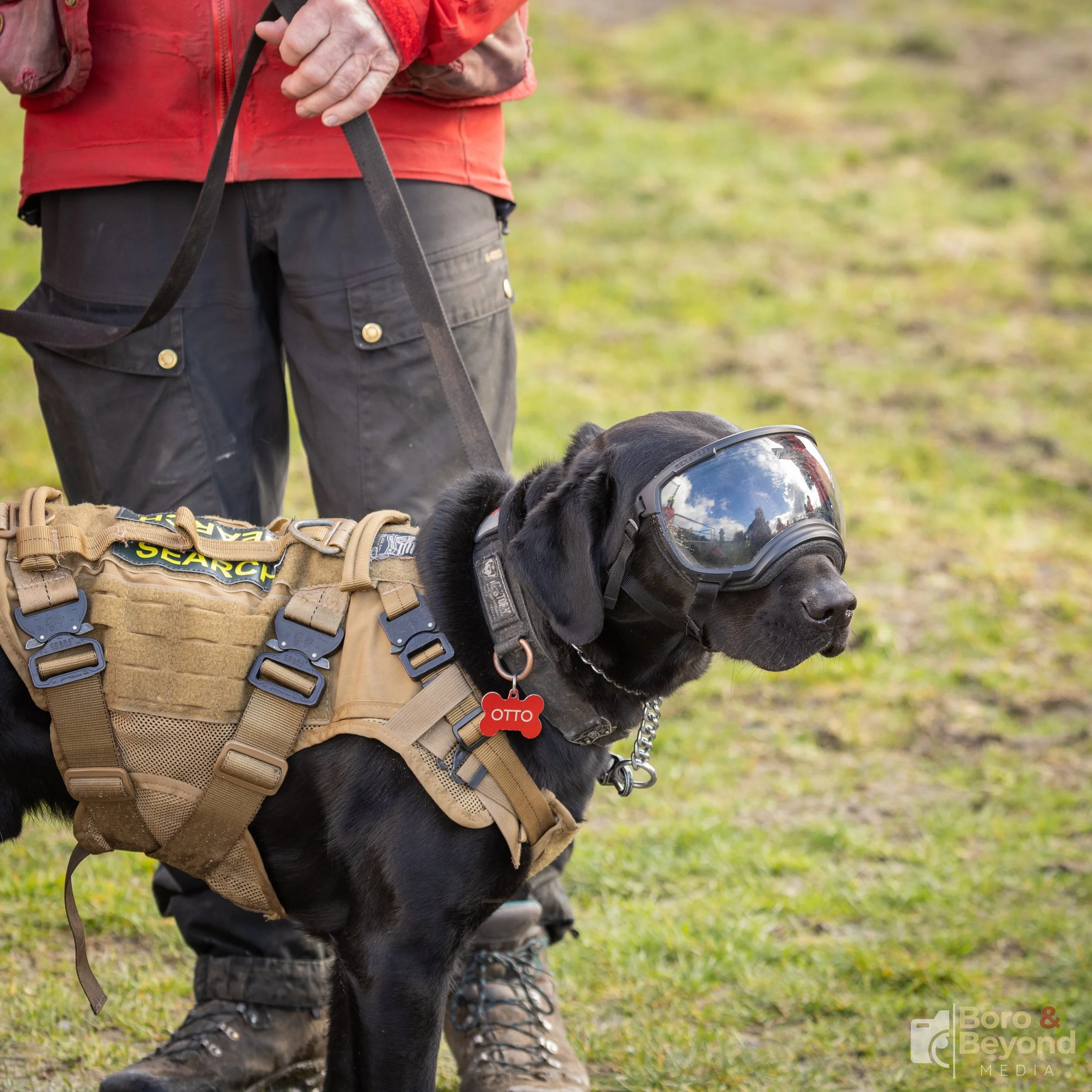 Coquitlam-SAR-Helicopter-Training-Boro-And-Beyond (31).jpg