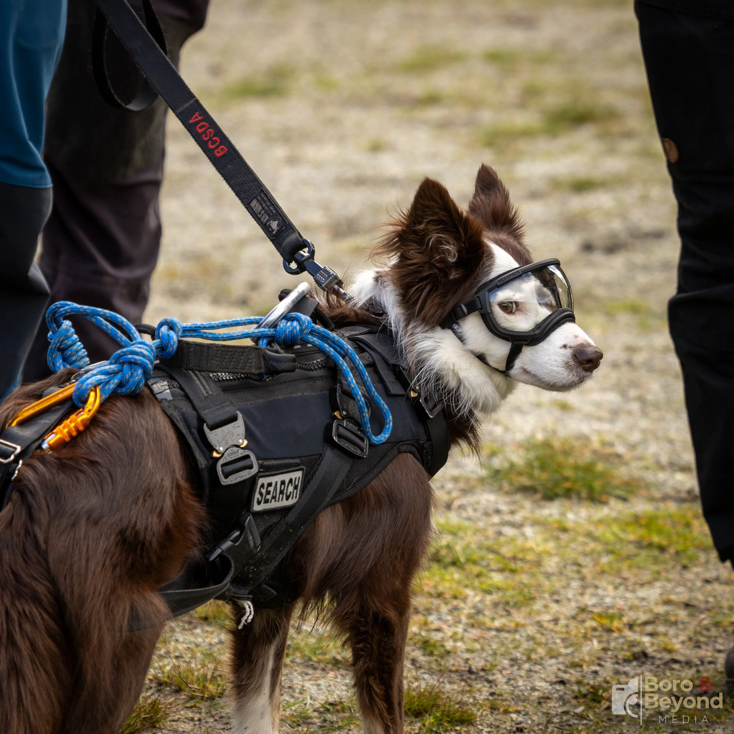 Coquitlam-SAR-Helicopter-Training-Boro-And-Beyond (38).jpg