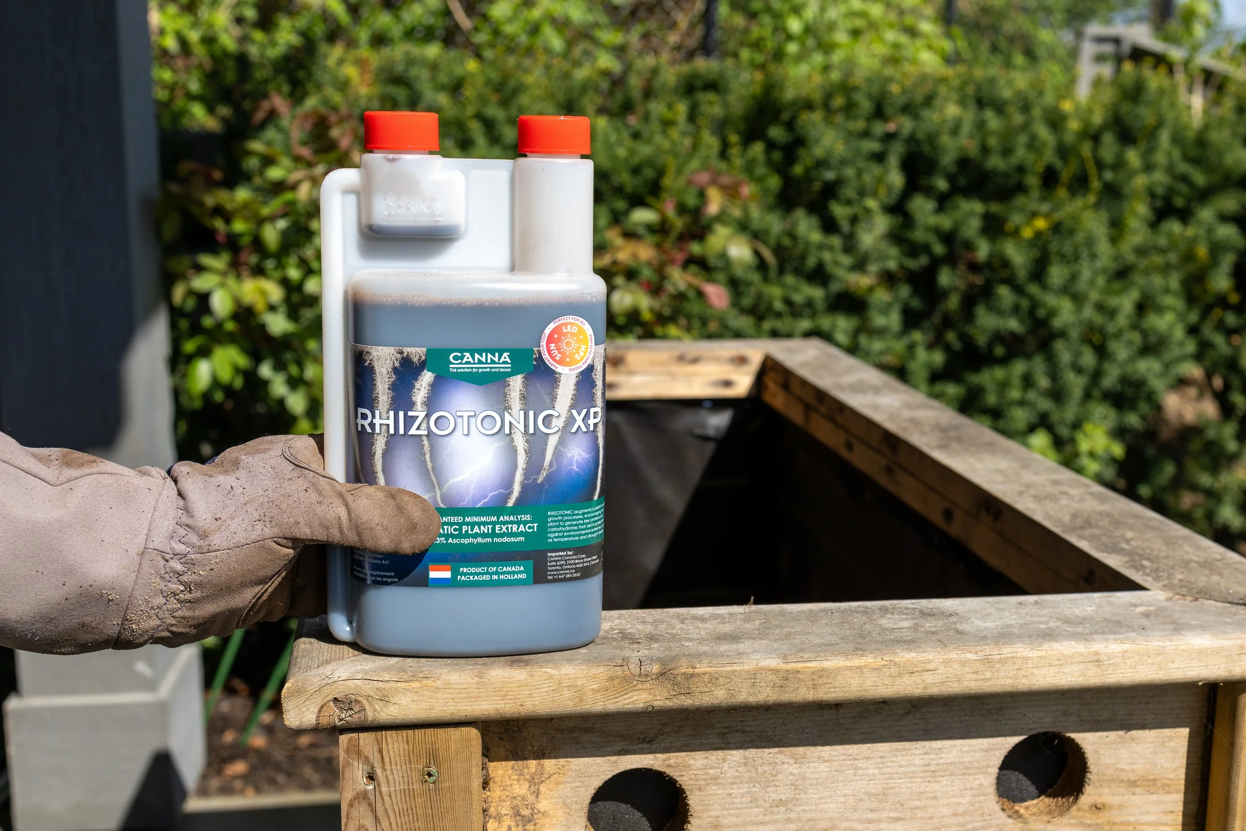 CANNA Rhizotonic XP for nurtured roots
