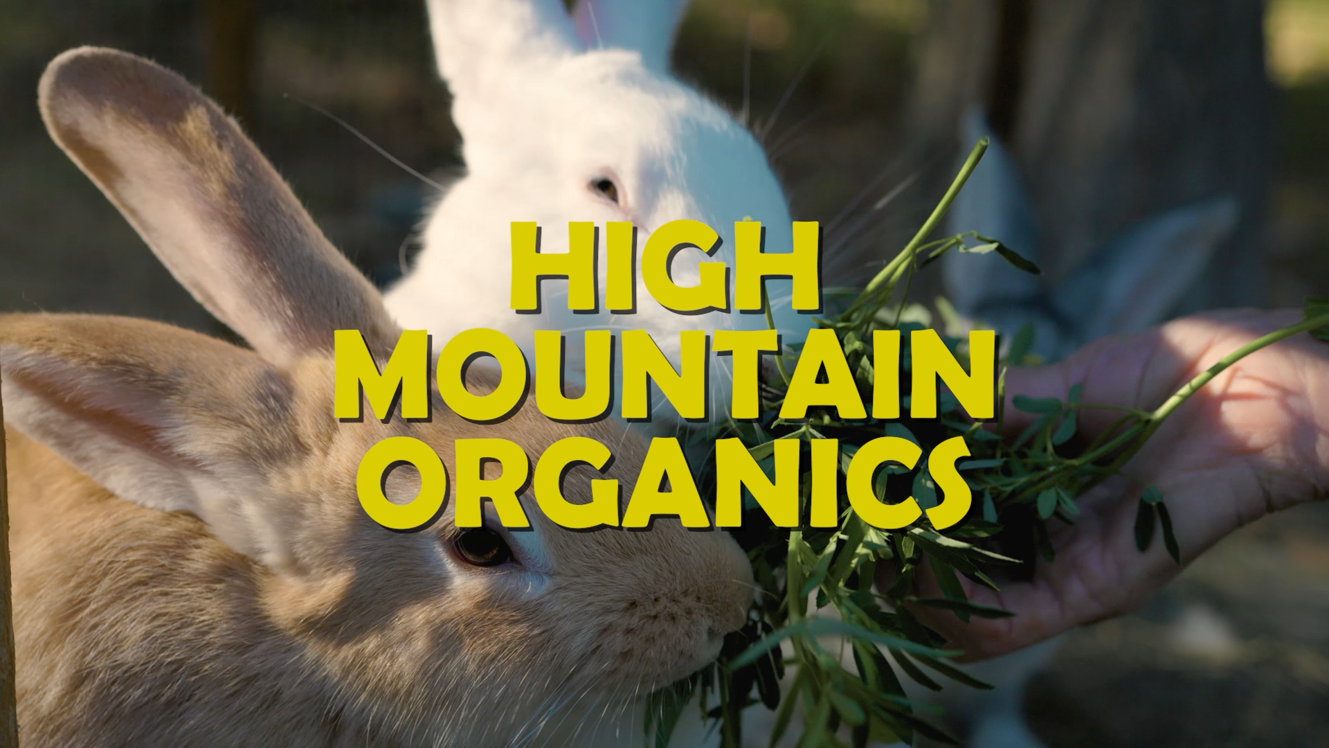 High Mountain Organics - Chapter 1