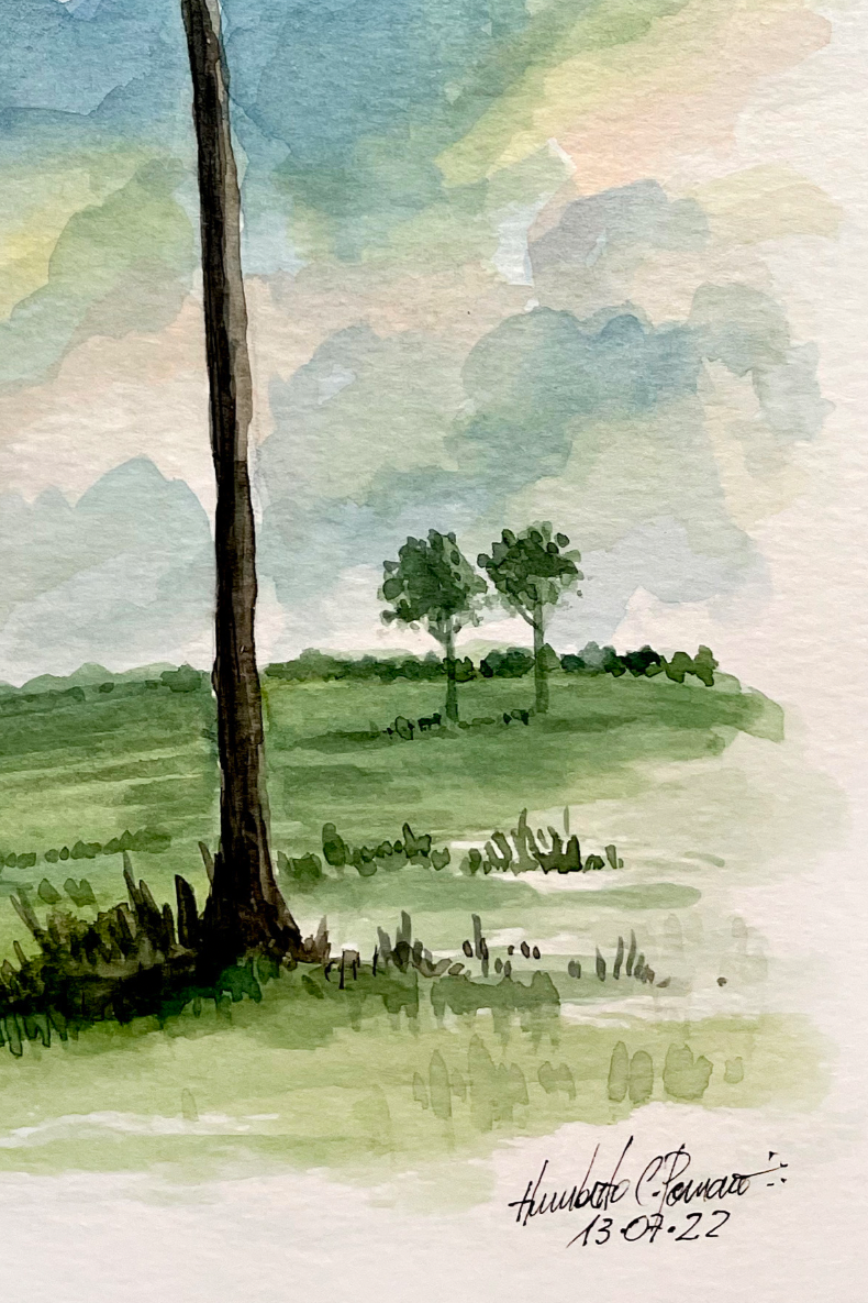 aquarela+arvore_humberto+c+pornaro3.png
