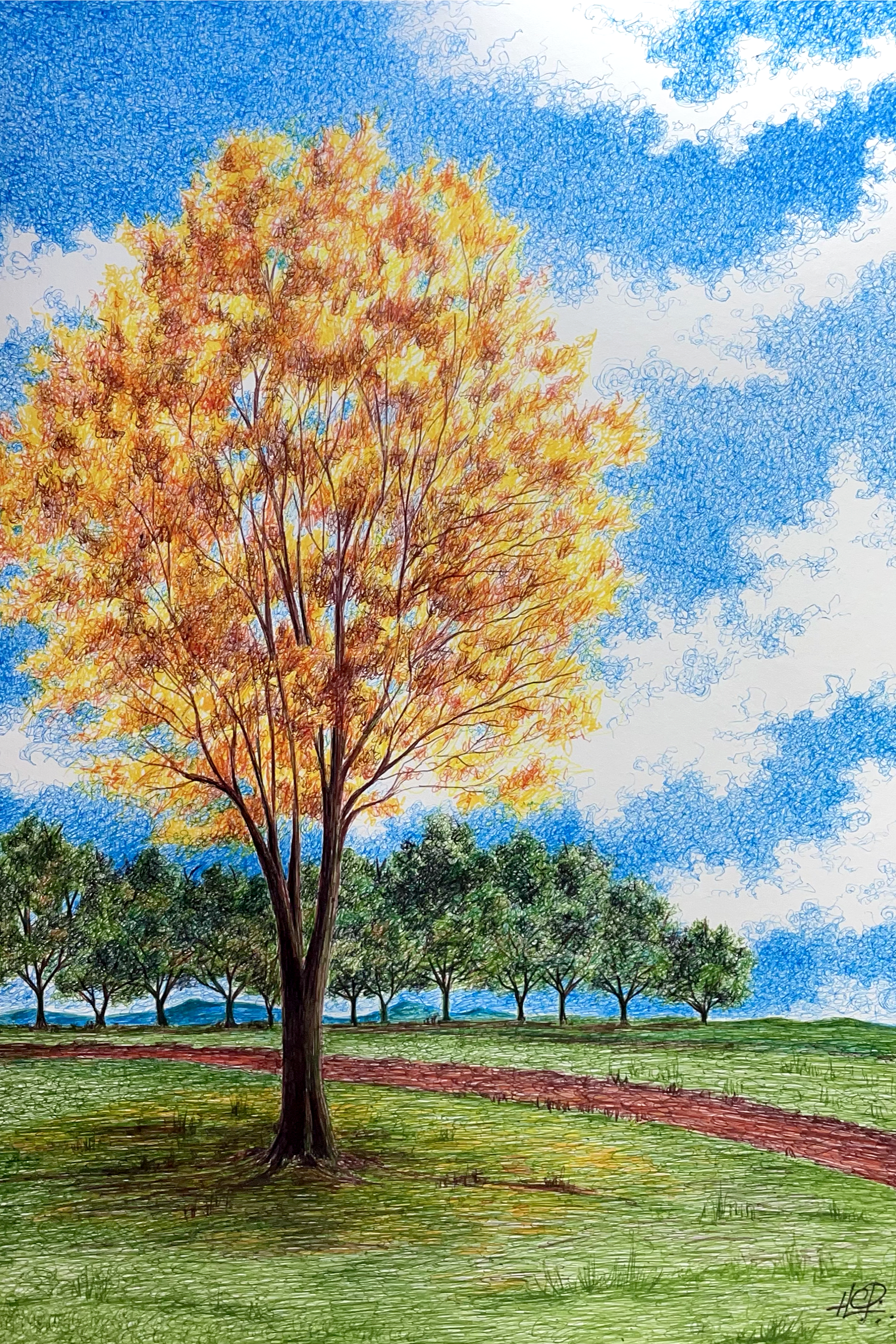 Ipê Amarelo