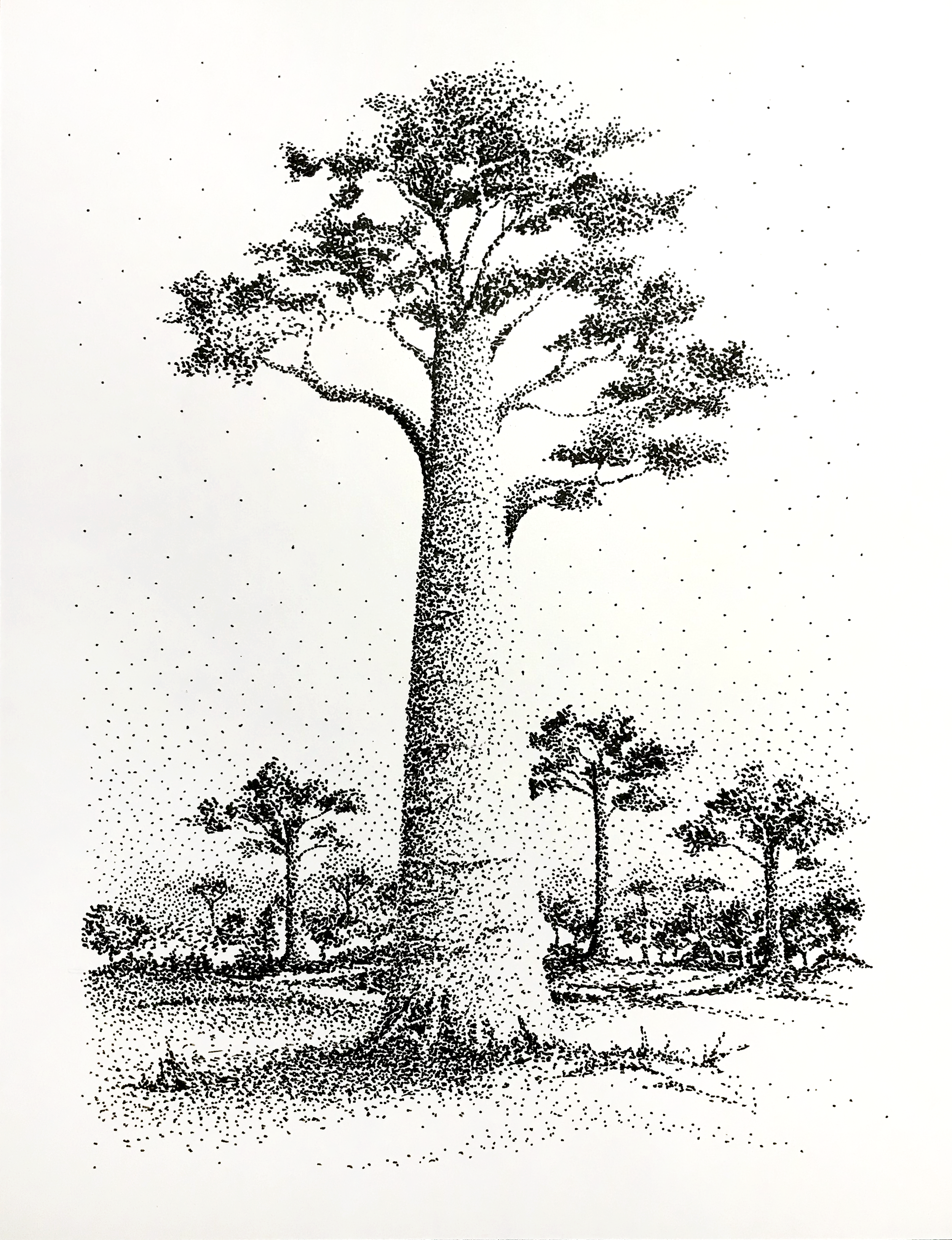 Big Tree-1.png
