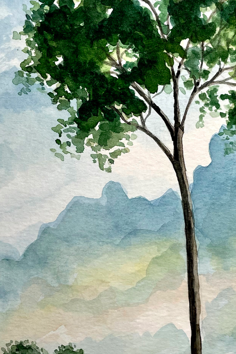 aquarela+arvore_humberto+c+pornaro2.png